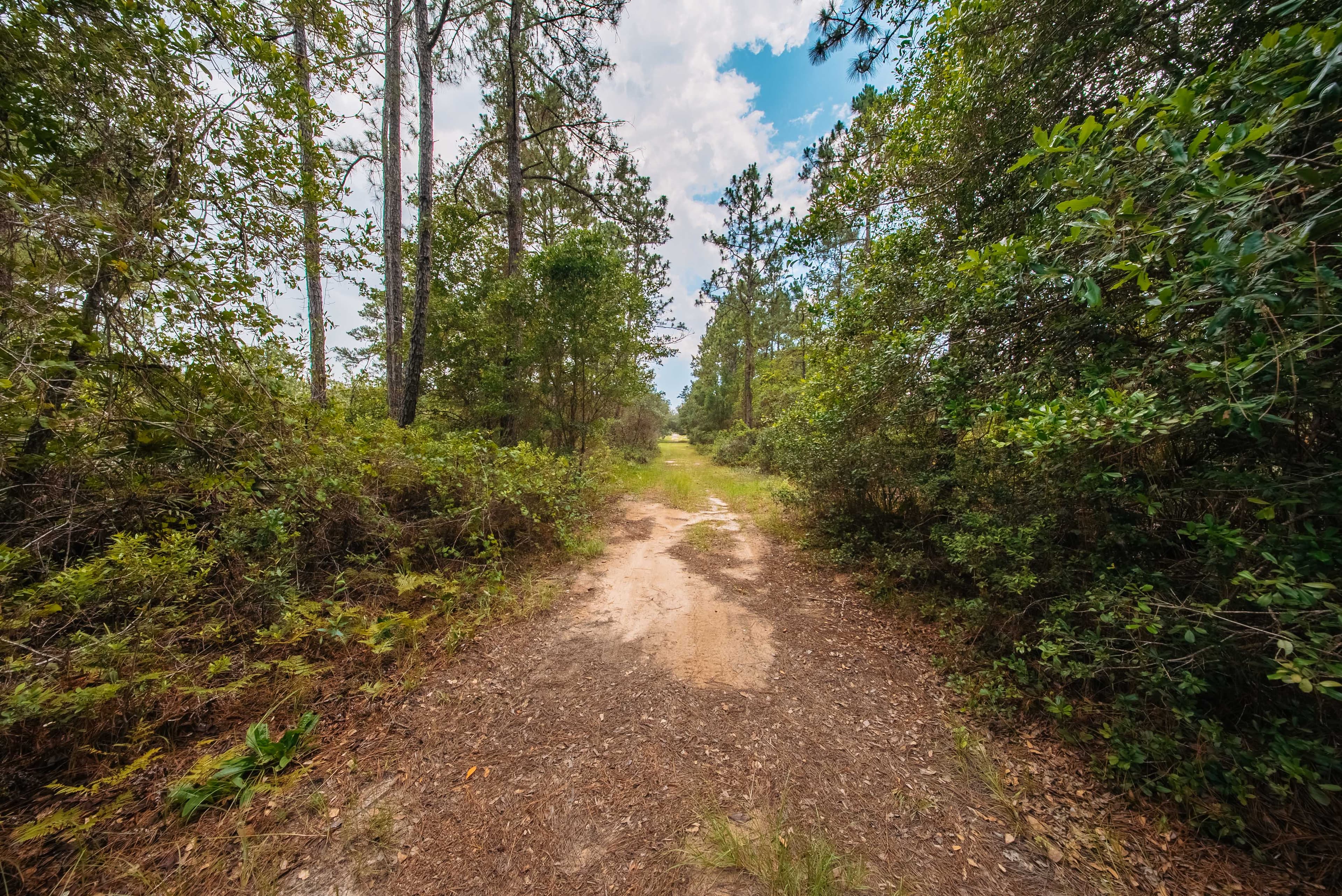 0.23 Acre Build-Ready Lot in St. Johns Riverside Estates — property view 5