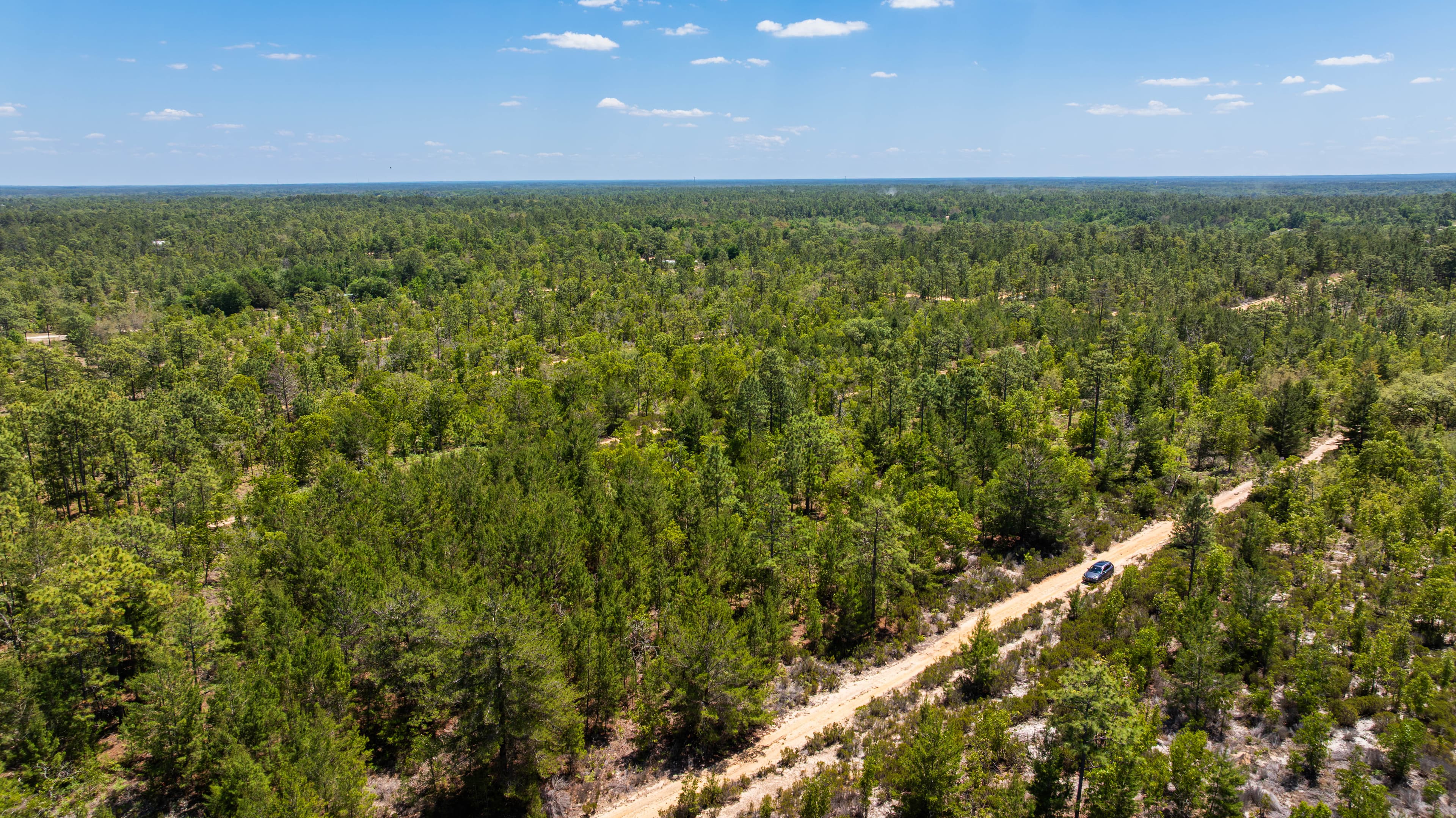 Elite 0.42-Acre High-Elevation Sanctuary – Rare 187ft Elevation Near Lake Lucy — property view 5