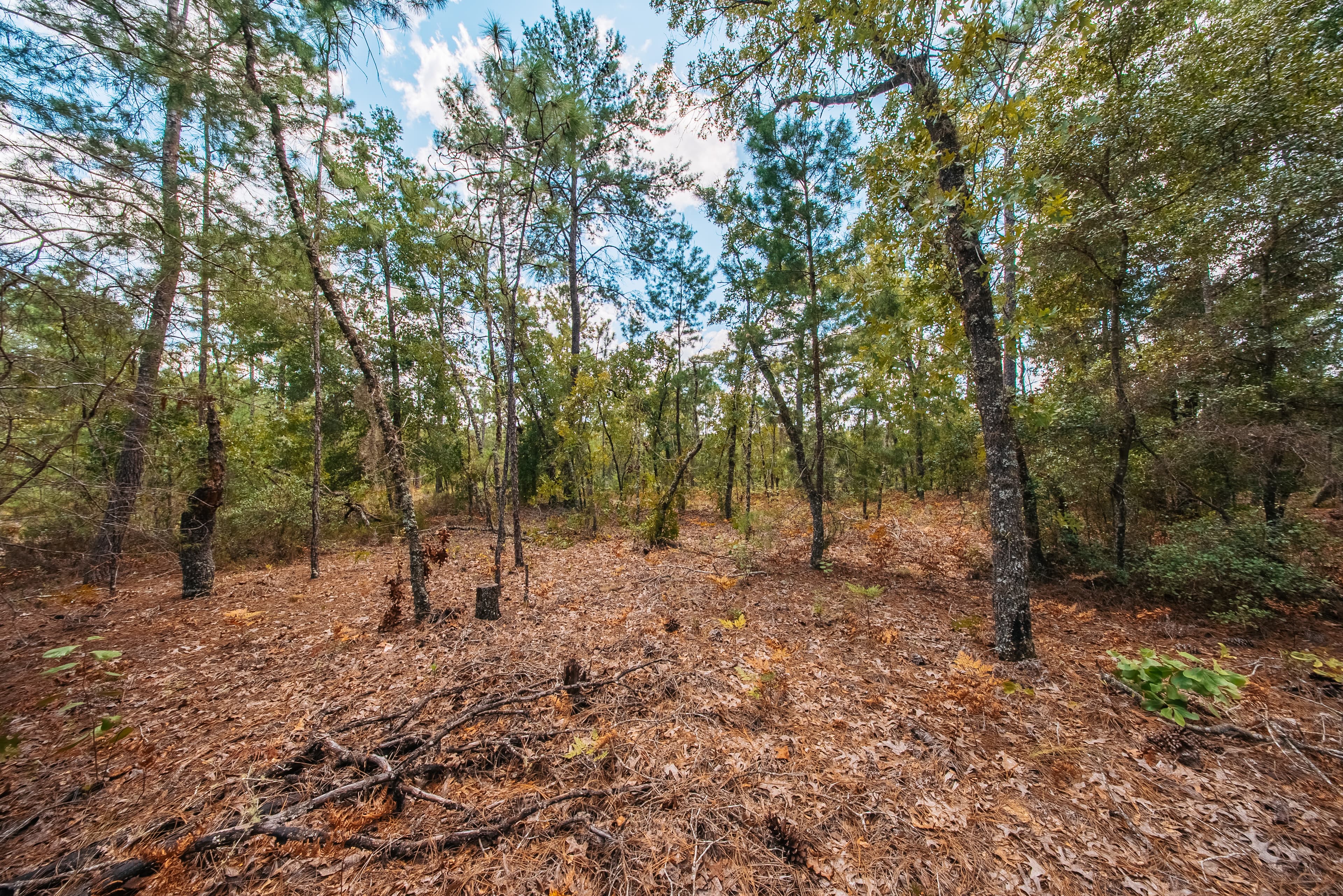 0.90 Acre Premium Lot in Mariners Lake Heights, Interlachen — property view 12