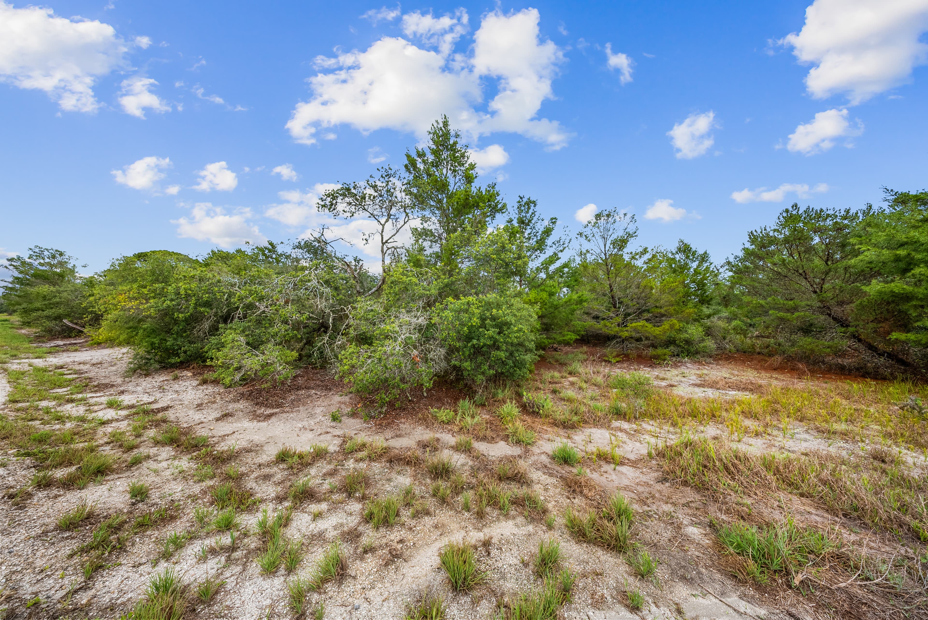 Morningside Heights: 0.23 Acres of R-1 Residential Freedom — property view 6