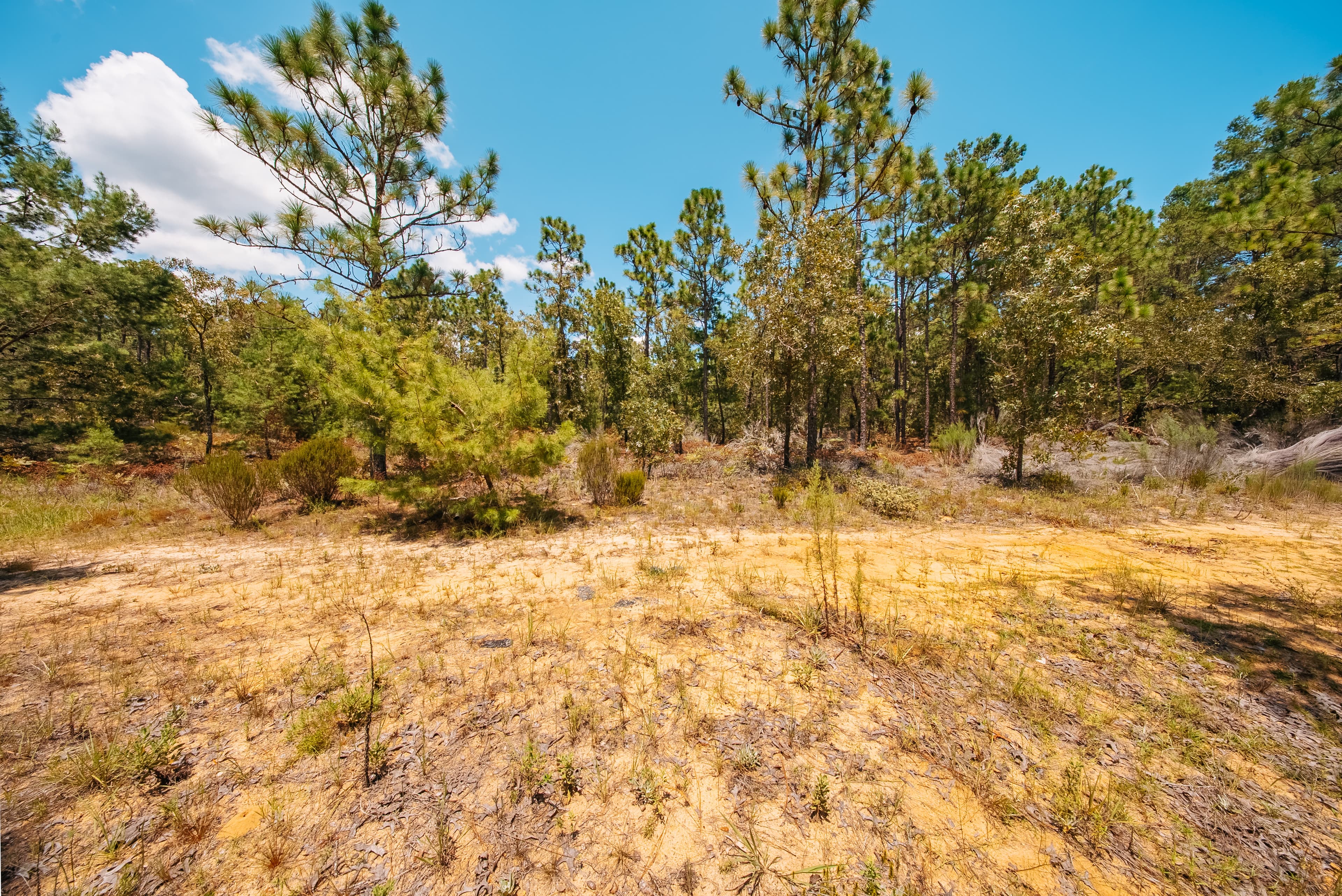 1.03 Acre Premium Estate Lot in Mariners Lake Heights, Interlachen — property view 9