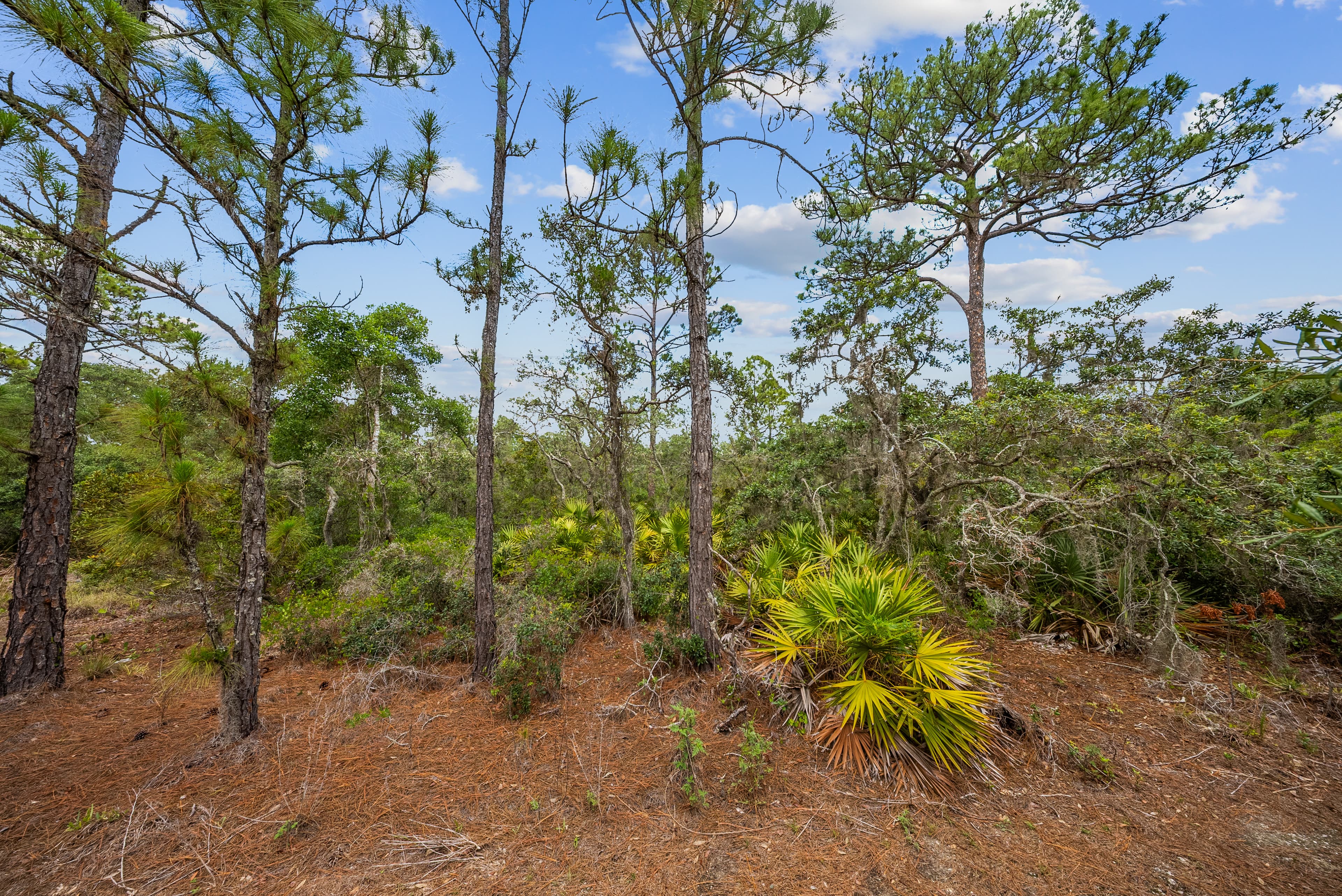 0.23 acre residential zoned land for sale in Highlands County, FL — photo 4