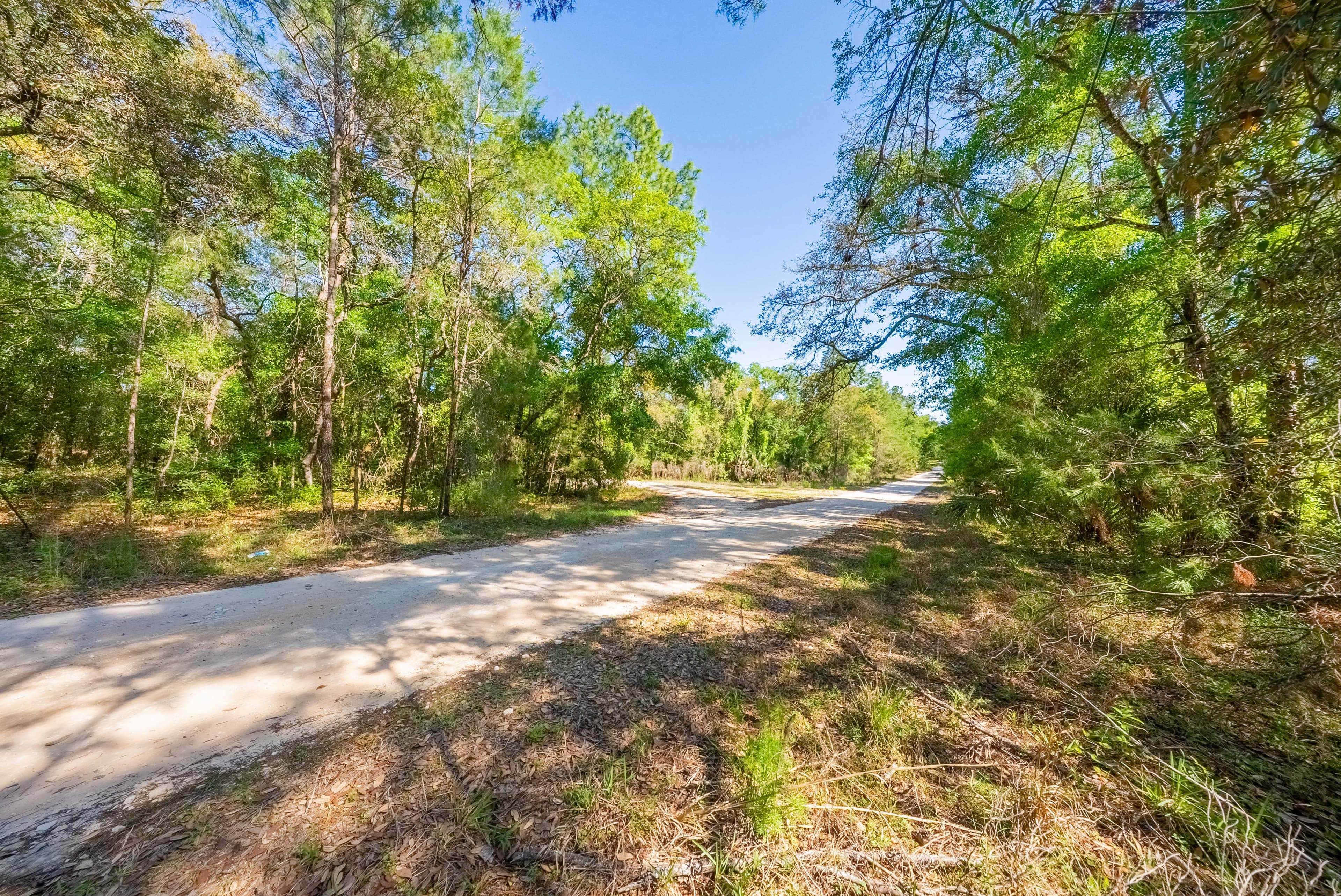 Your 0.23 Corner Lot Opportunity in St. Johns Riverside Estates — property view 15