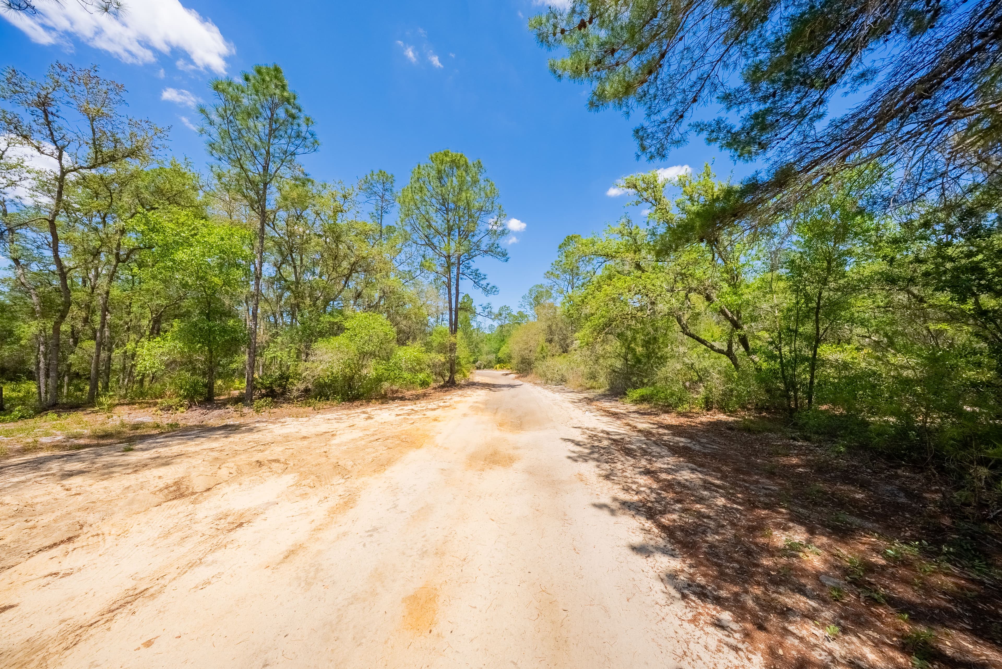 0.156 Acre Build-Ready City Lot with Water & Sewer in Sebring — property view 10