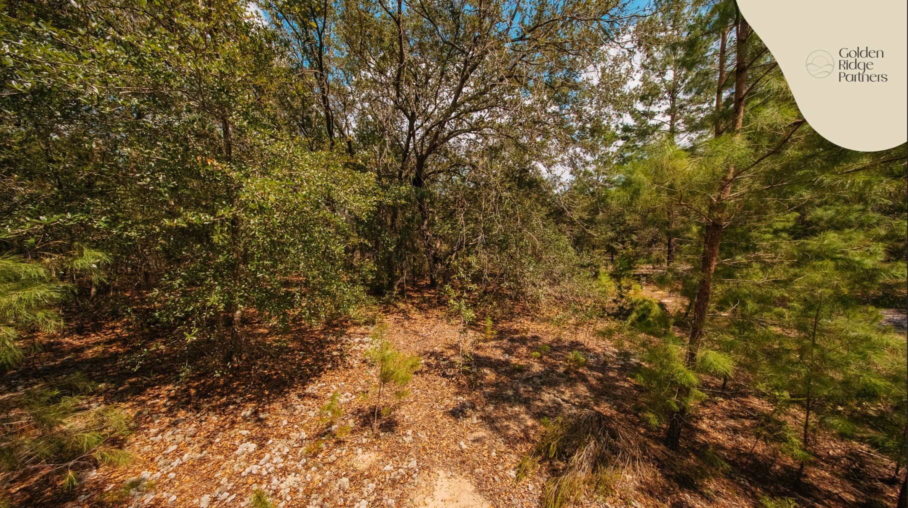 0.23 acre residential zoned land for sale in Putnam County, FL — photo 3