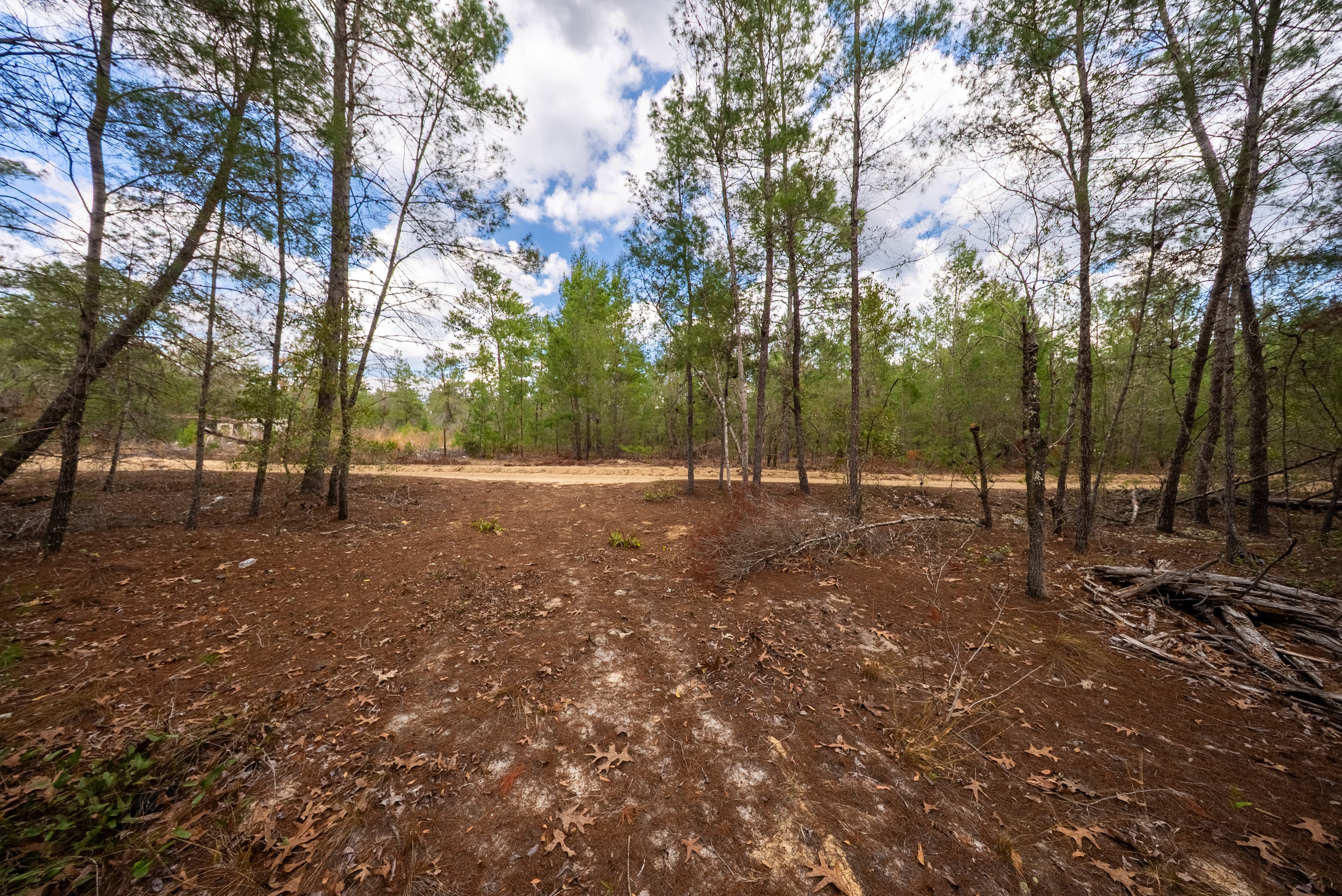 Build Your Legacy: Affordable Sunshine on 0.4 Unrestricted Acres — property view 12