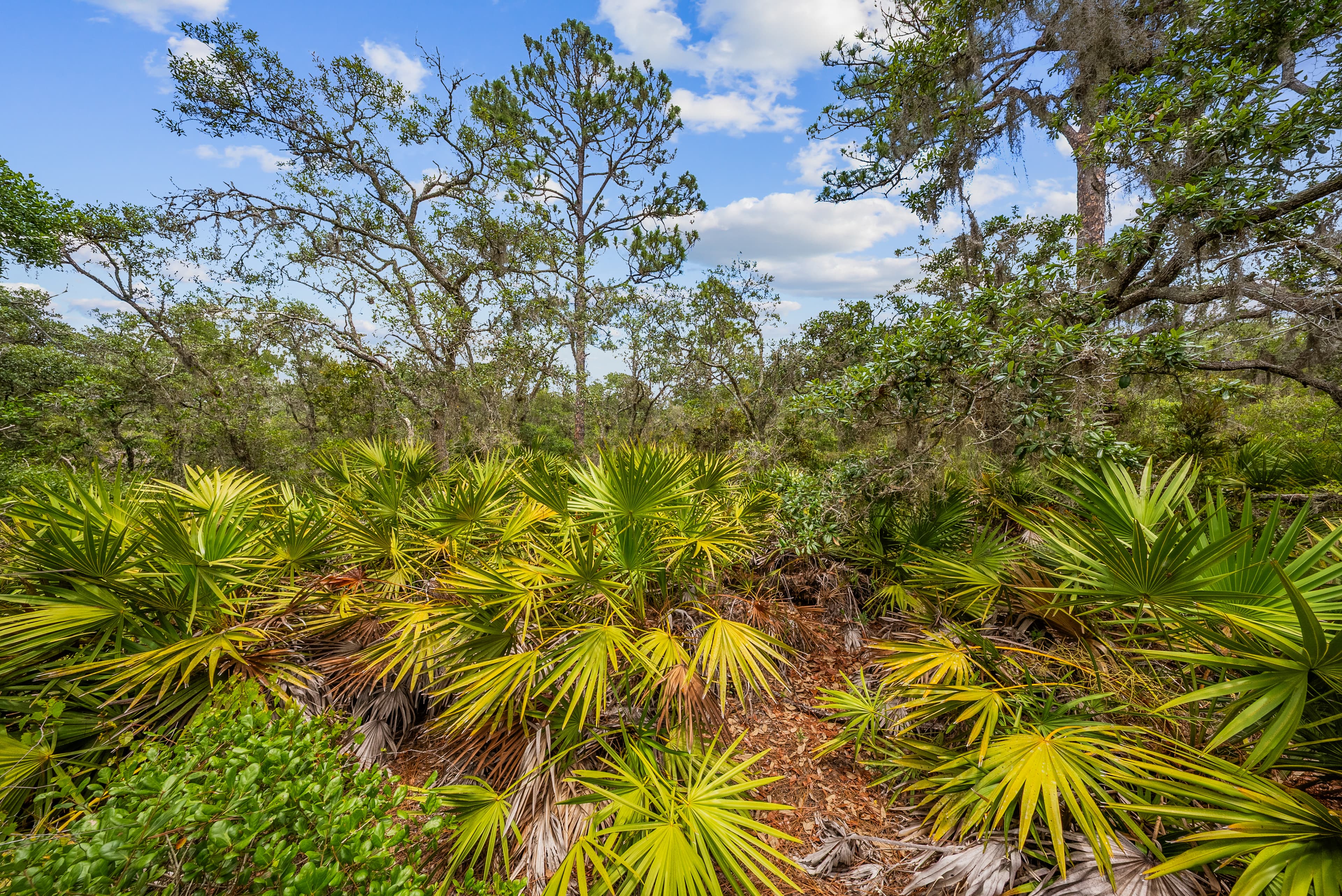 Anchor Your Dreams on Showboat Ave: 0.23 Acres of Wooded Serenity — property view 7