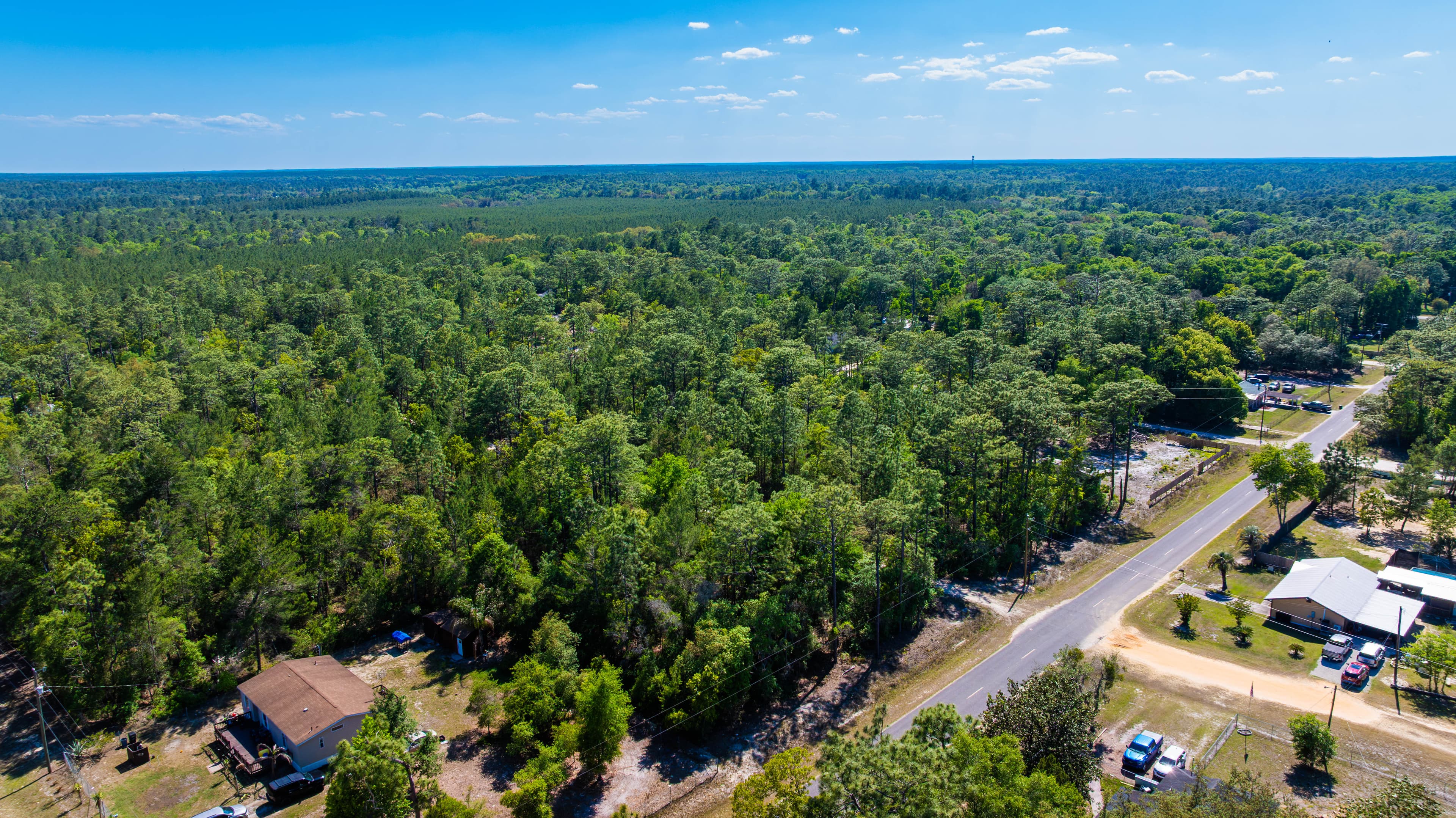 The Satsuma High-Point: 0.23 Acres of Wooded Freedom & 65ft Elevation — property view 5