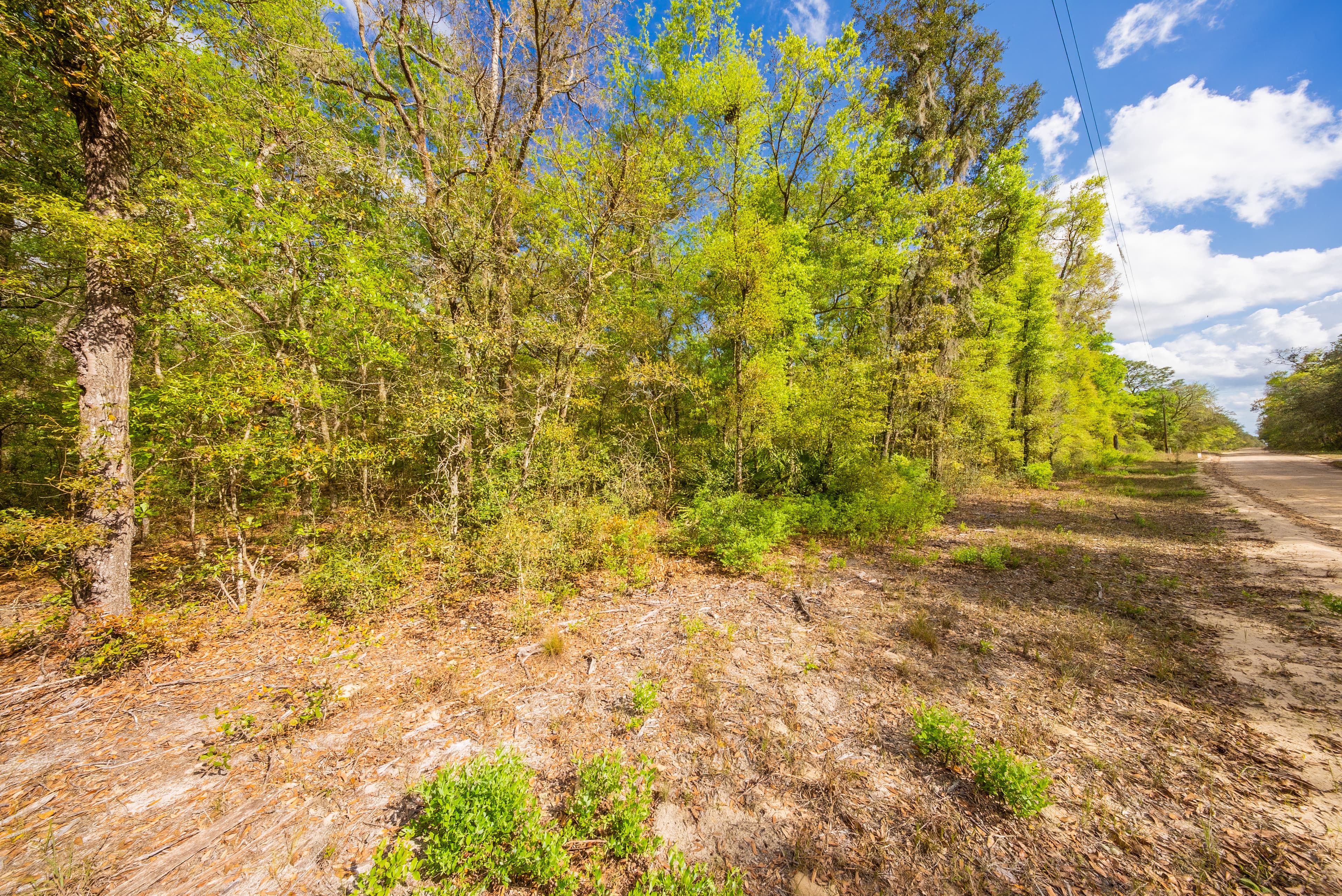The Gloria Avenue Retreat: 0.22 High & Dry Acres in Hawthorne — property view 5