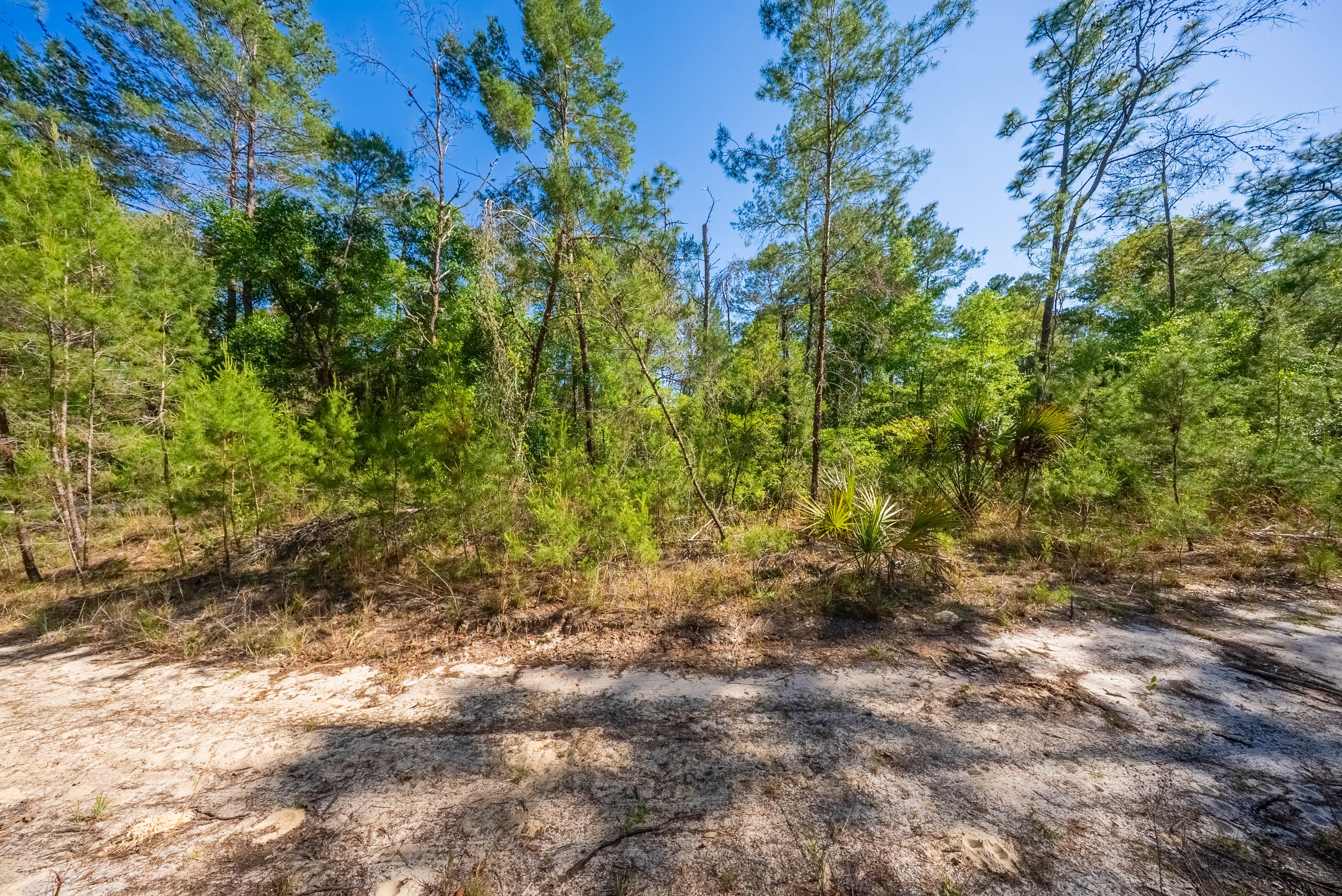 Your 0.23 Corner Lot Opportunity in St. Johns Riverside Estates — property view 9