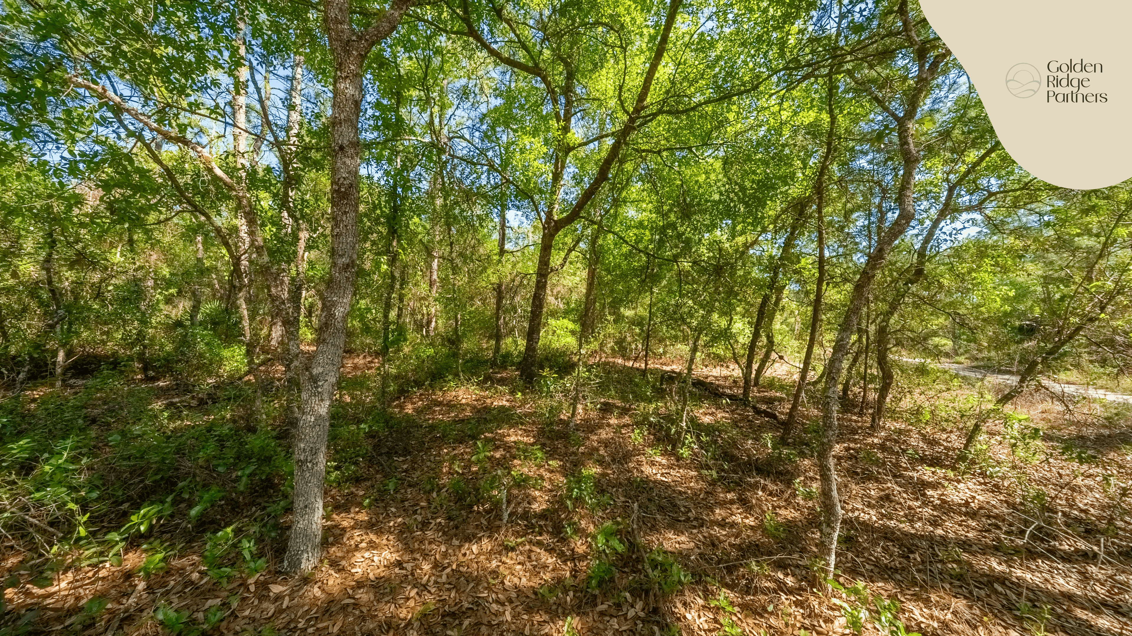 0.23 acre residential zoned land for sale in Putnam County, FL — photo 3