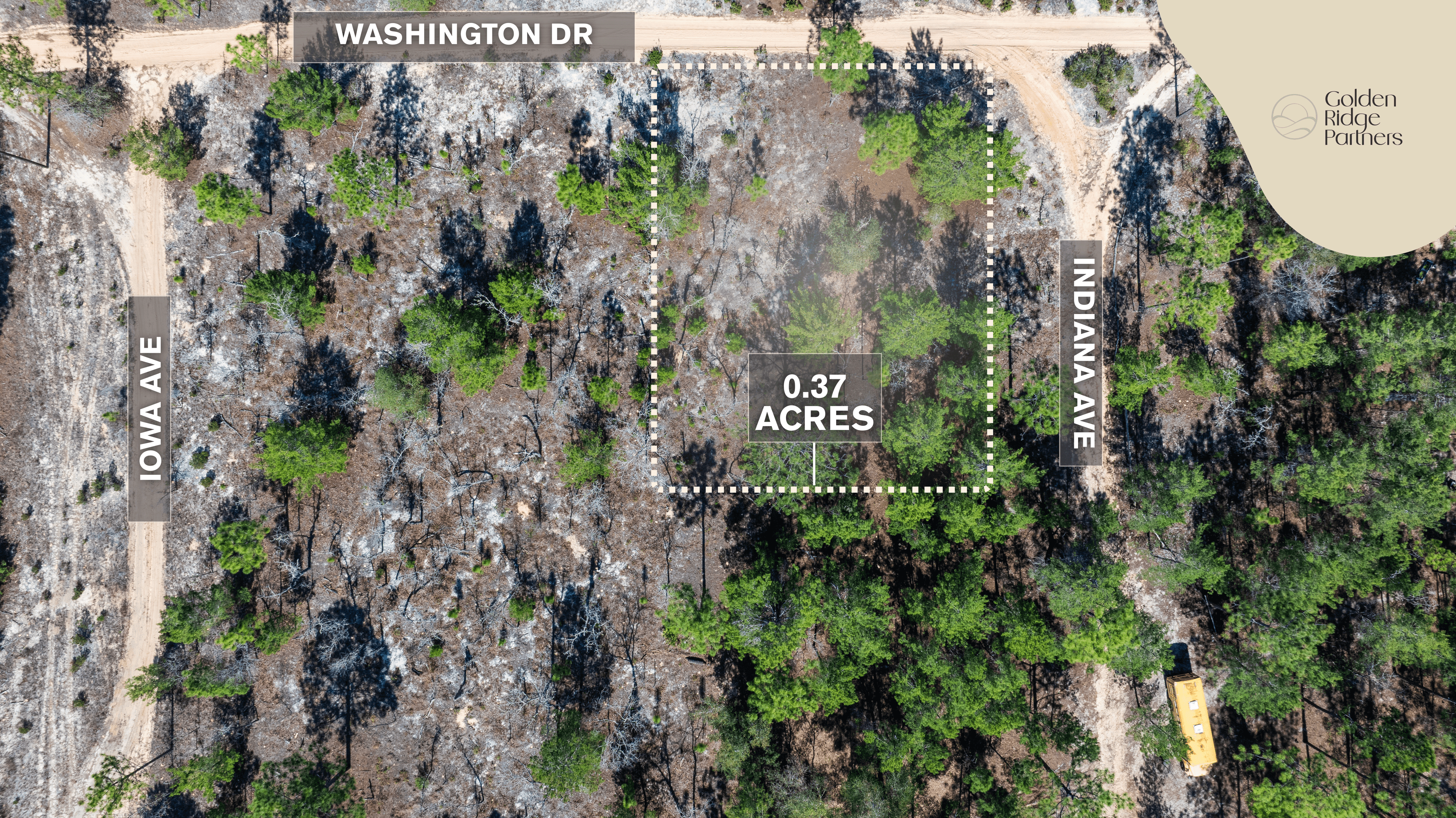 The High-Ground Corner: 0.37 Deeded Acres in Wild Florida