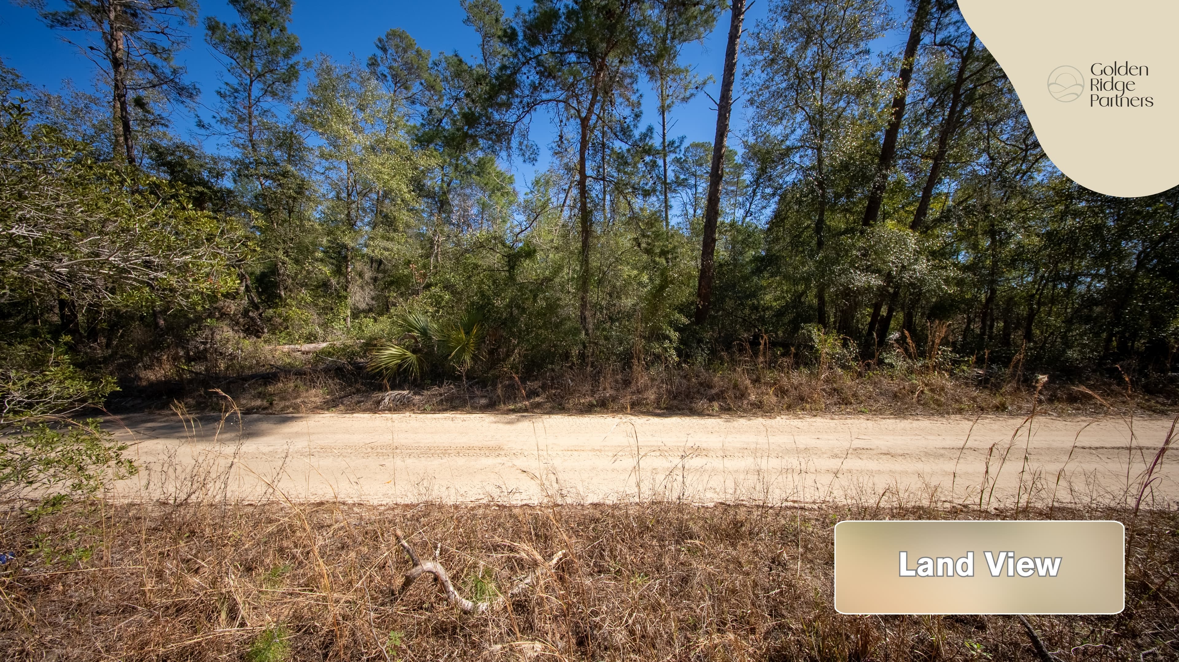 0.23 acre residential zoned land for sale in Putnam County, FL — photo 4