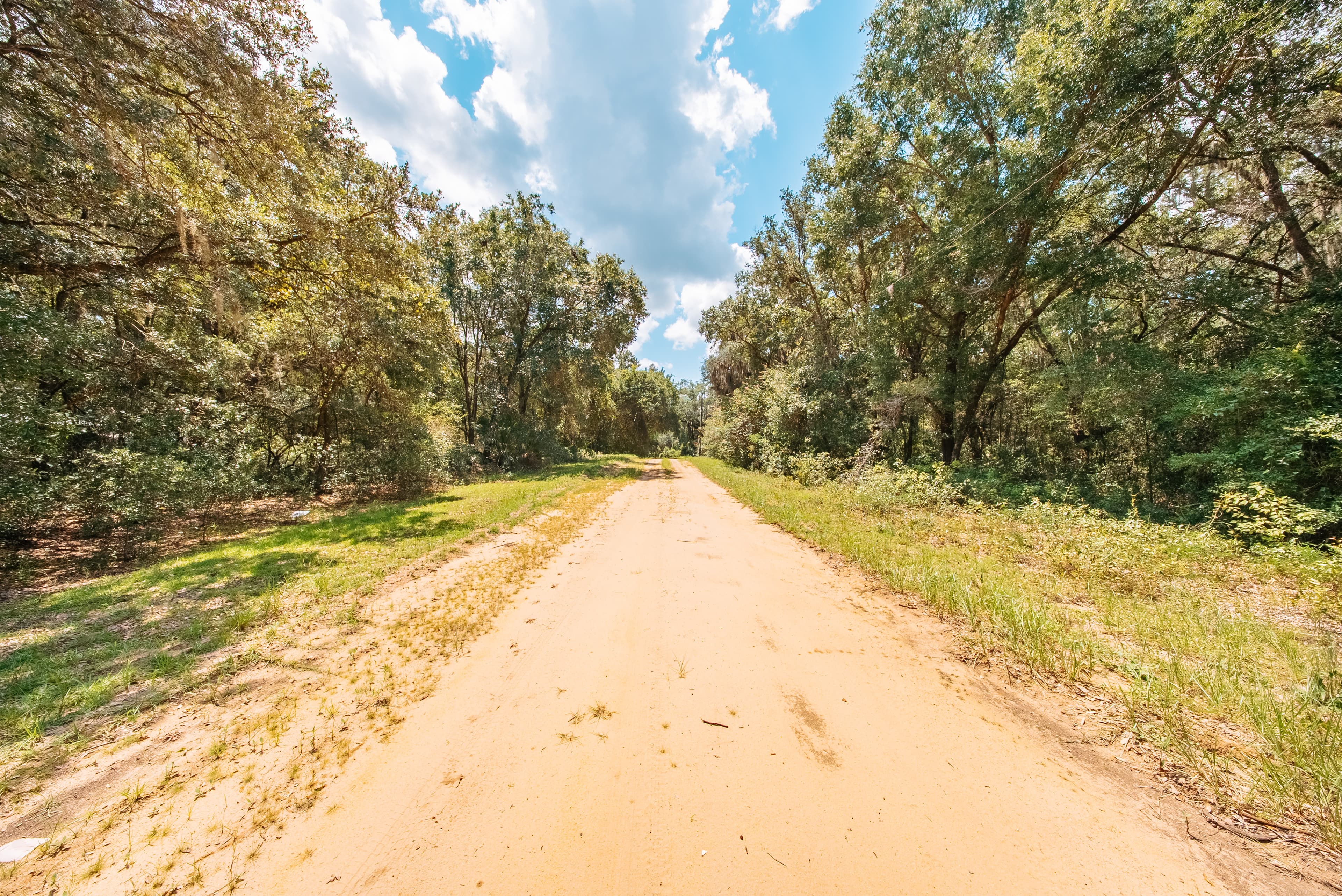 0.215 Acre Build-Ready Lot in Interlachen Lakes Estates — property view 10