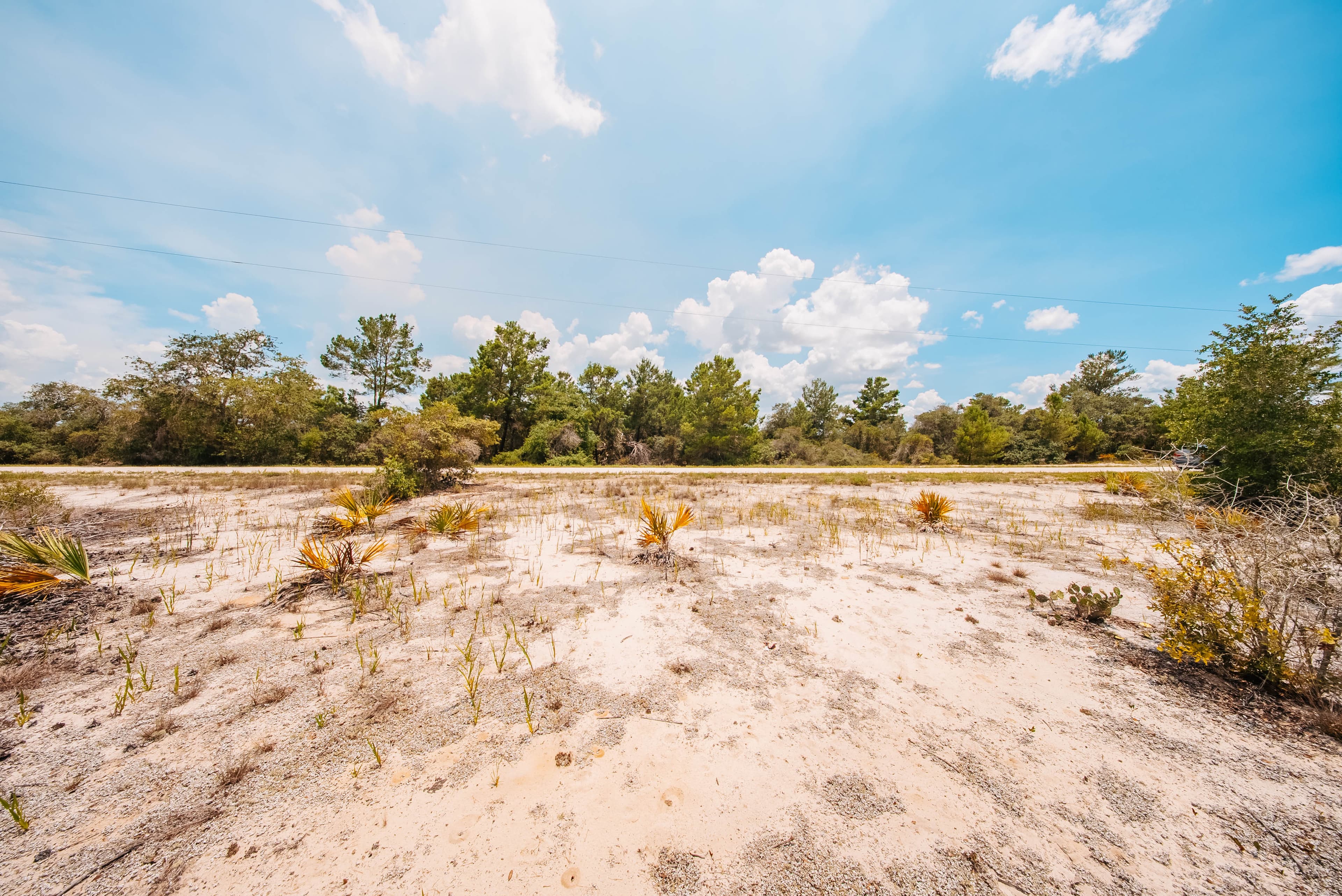 0.23 Acre Build-Ready Lot in Sun N Lakes, Lake Placid — property view 13