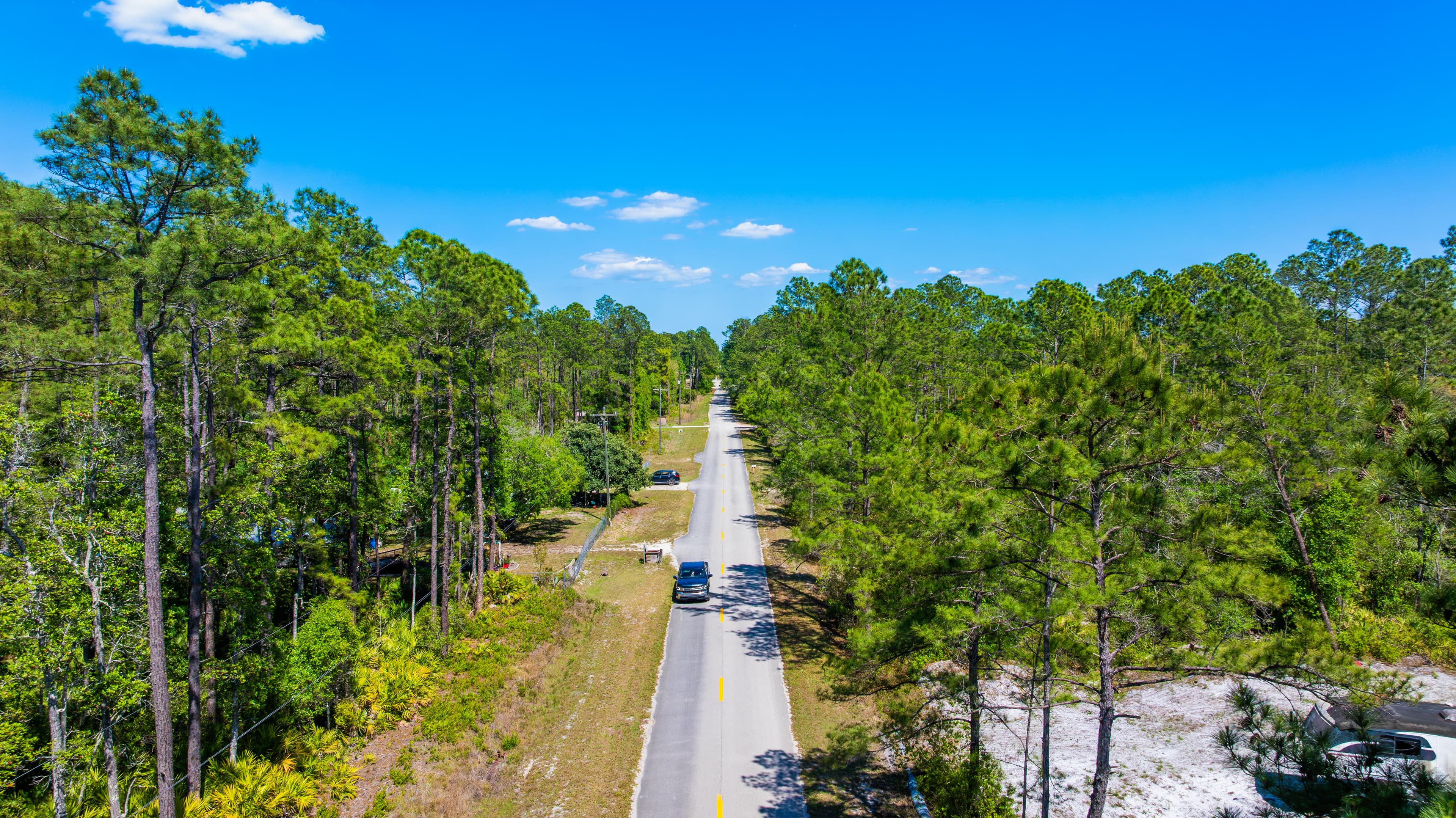The Hickory Nut Haven: 0.24 Acres of Wooded Freedom in Wild Florida — property view 5