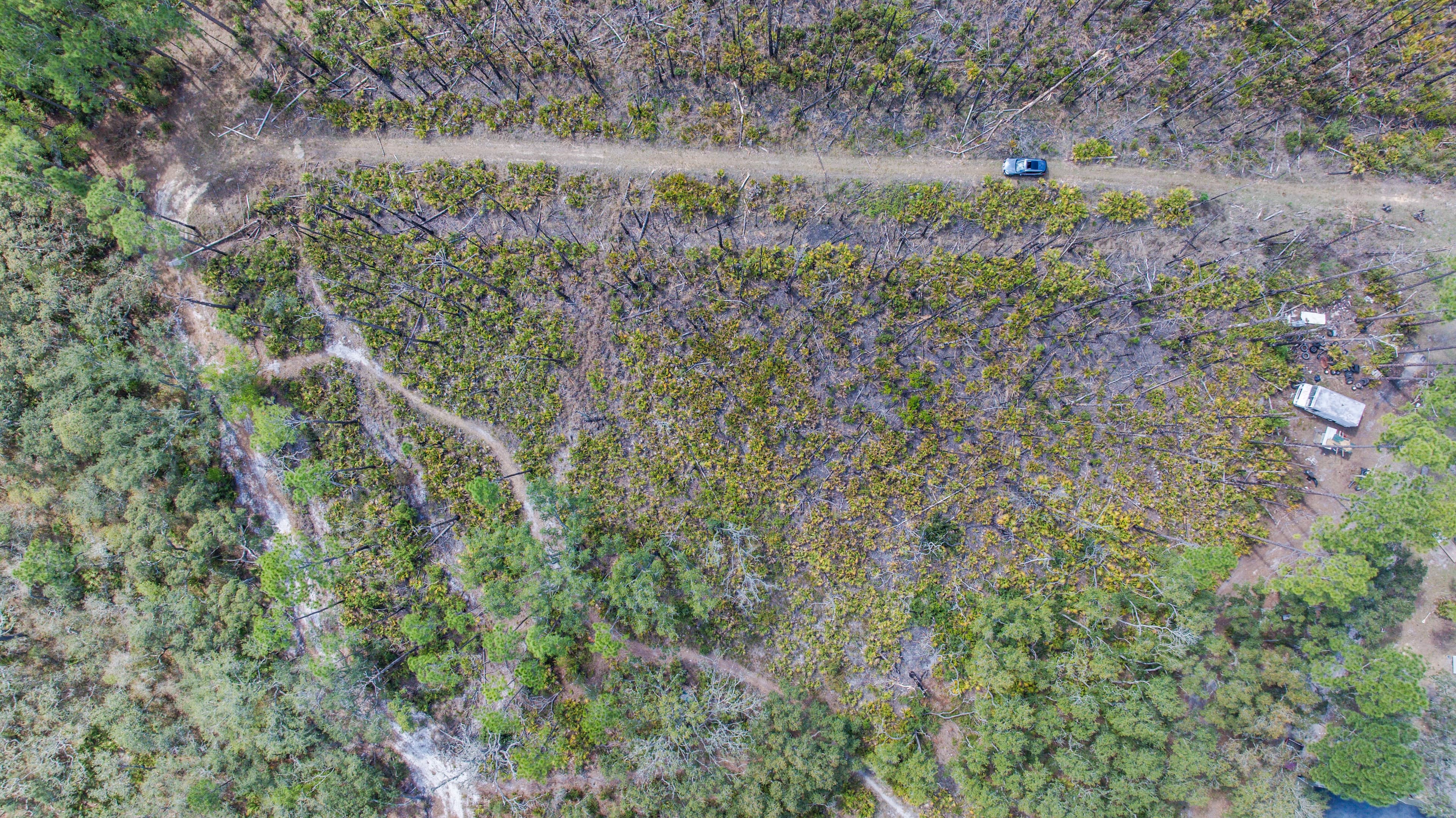 The Dana Avenue Sanctuary: 0.22 High-Elevation Acres in Interlachen — property view 5