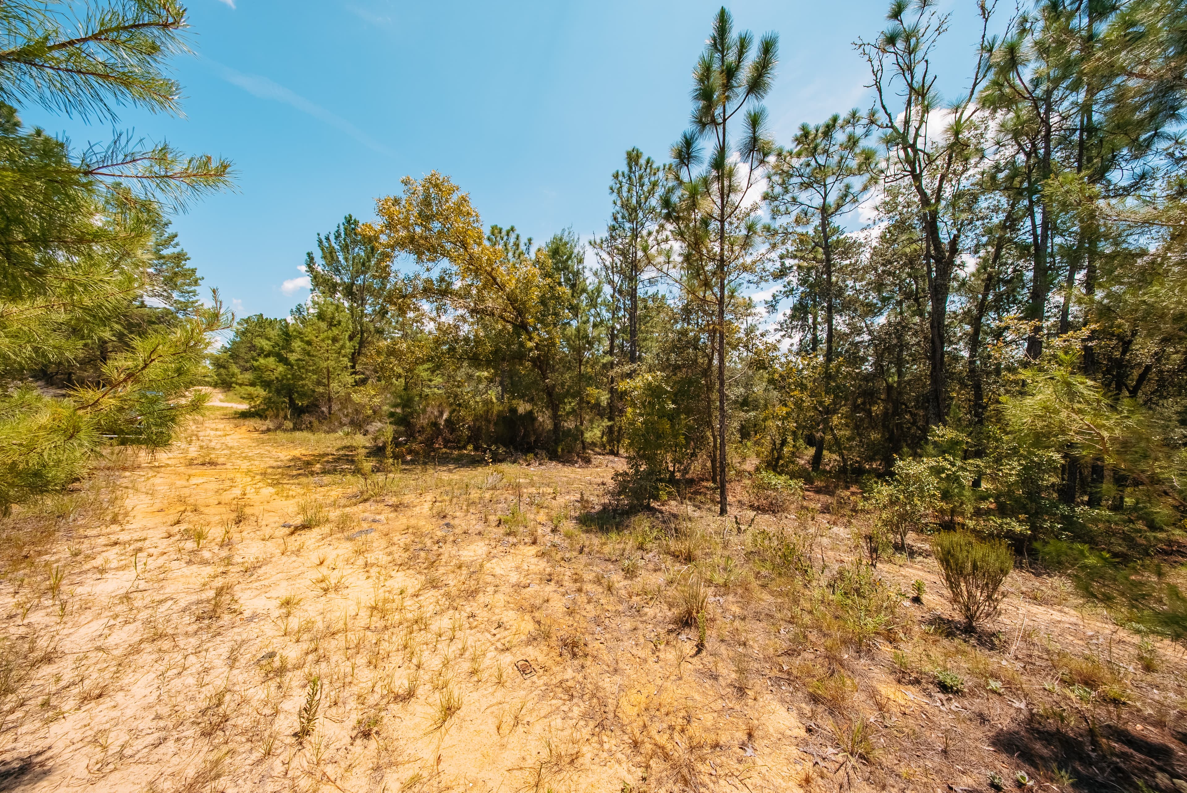1.03 Acre Premium Estate Lot in Mariners Lake Heights, Interlachen — property view 11