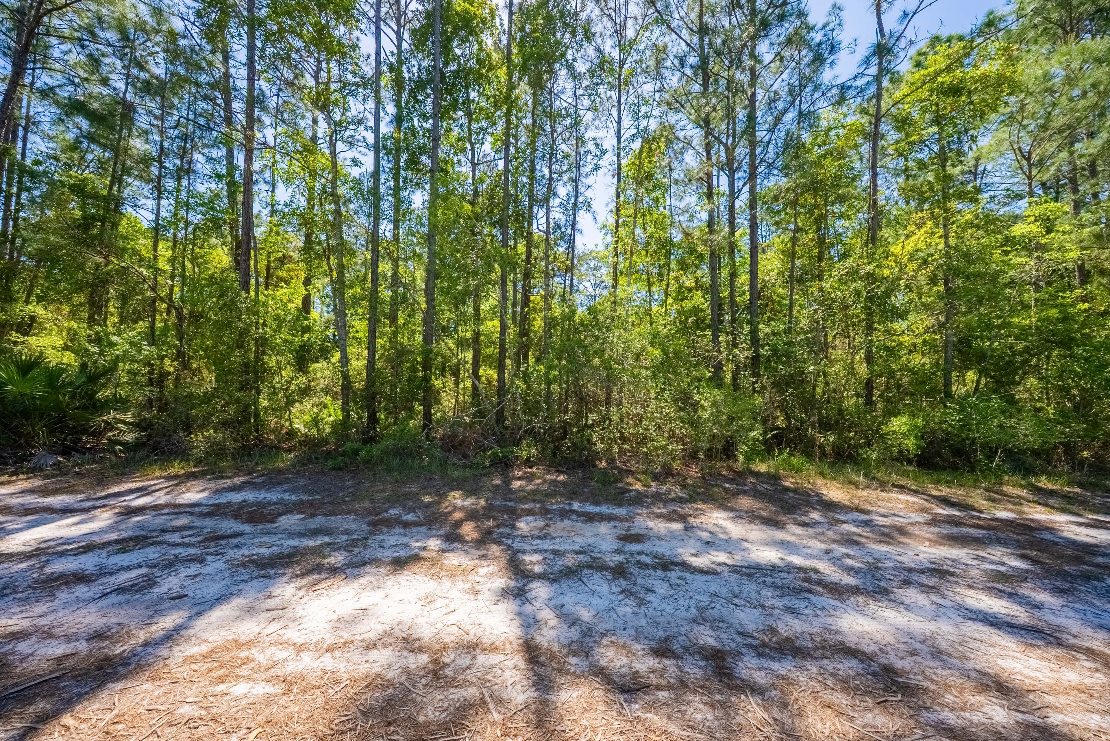 0.24 Acre Residential Lot in Placid Lakes, Lake Placid — property view 9