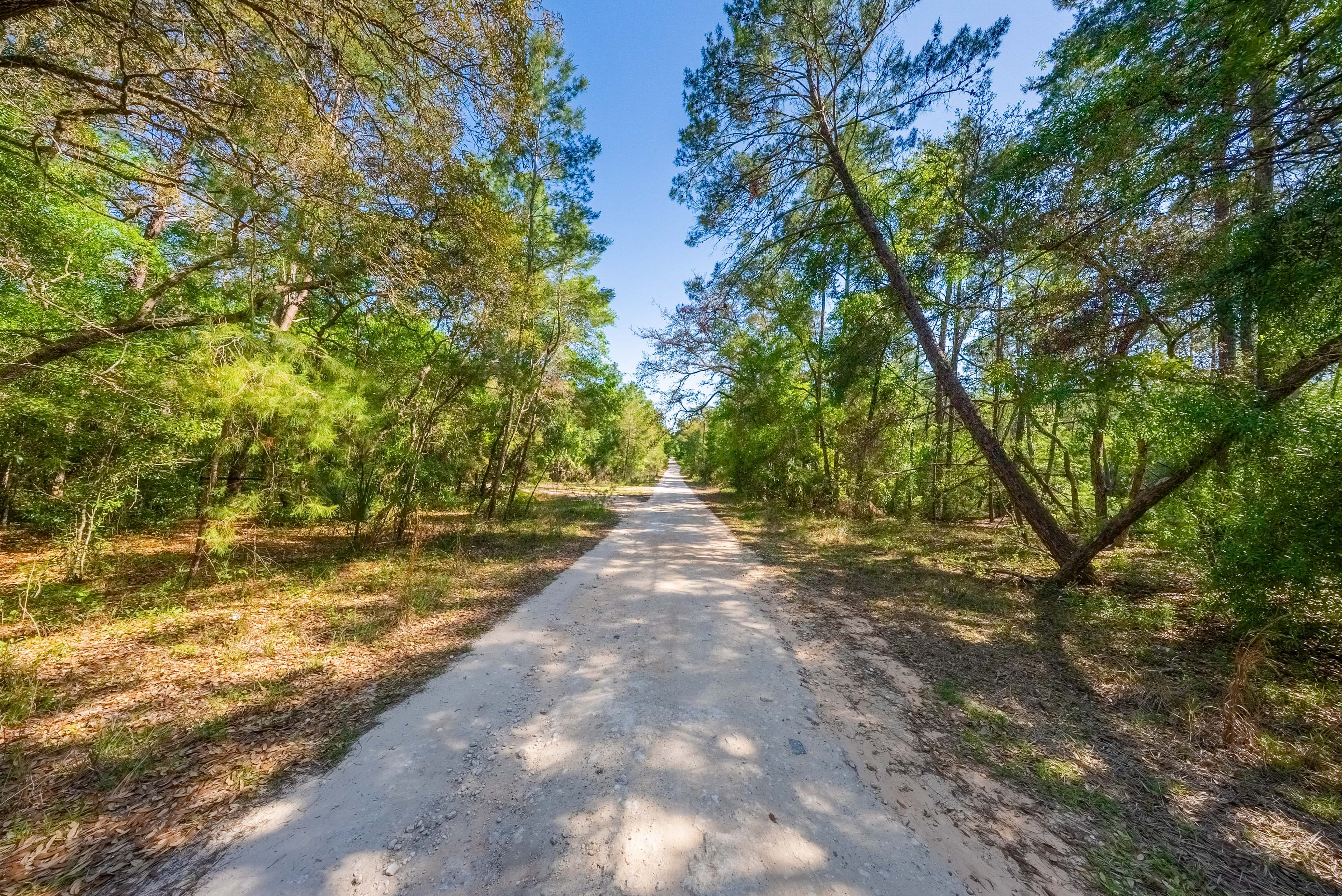 Your 0.23 Corner Lot Opportunity in St. Johns Riverside Estates — property view 10
