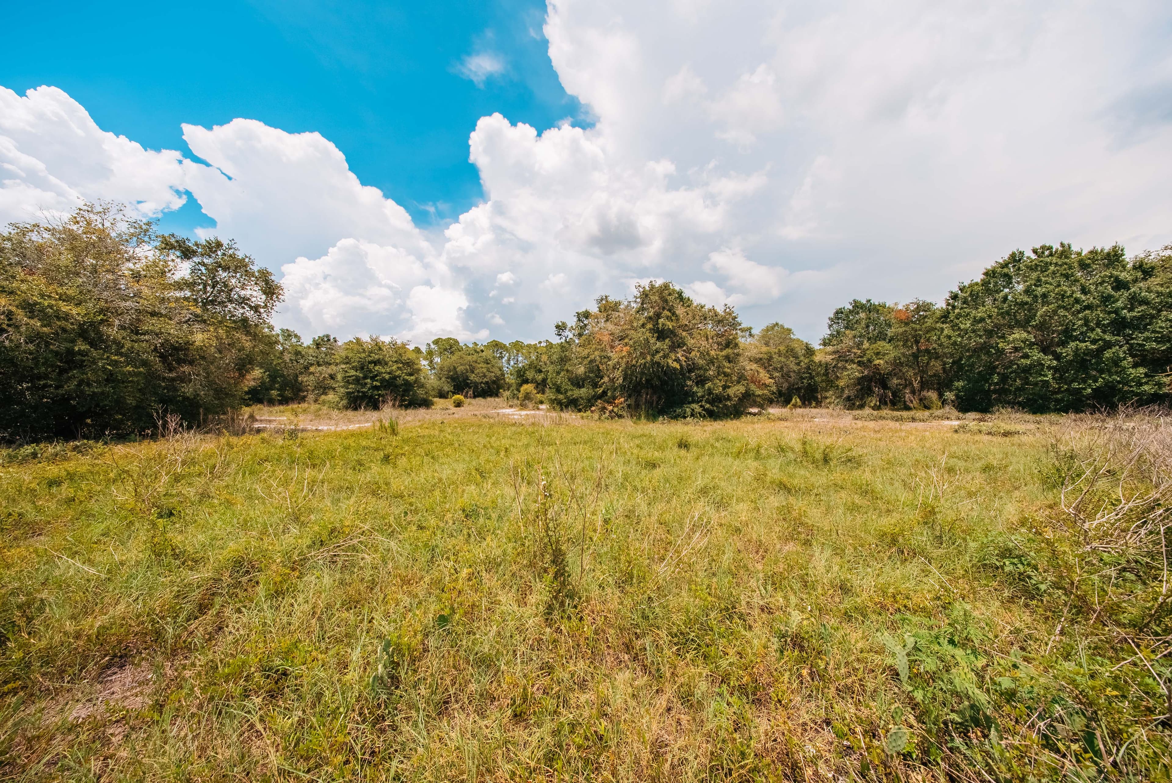  0.23 Acre Build-Ready Lot in Sun N Lakes, Lake Placid — property view 10