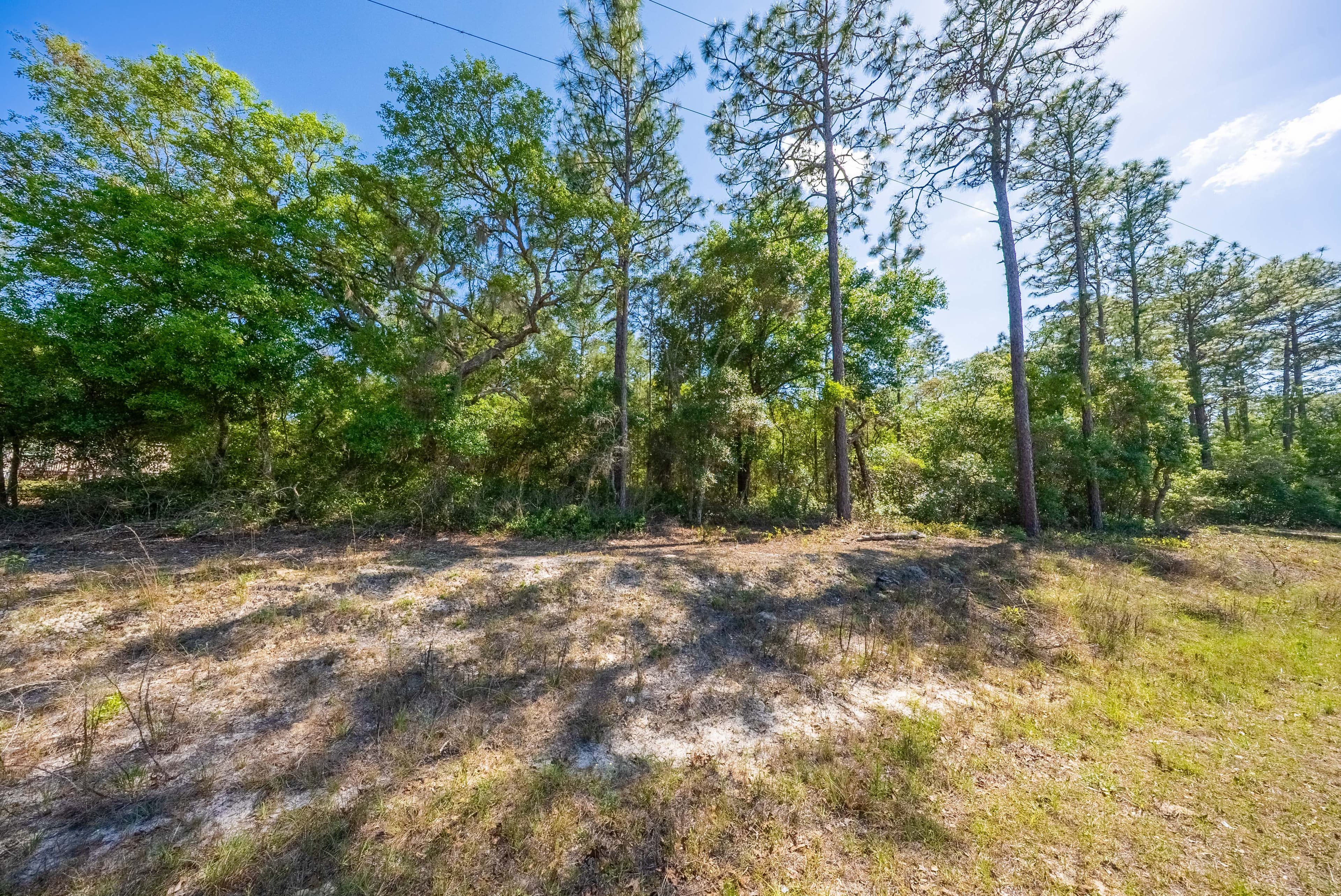 The Satsuma High-Point: 0.23 Acres of Wooded Freedom & 65ft Elevation — property view 10