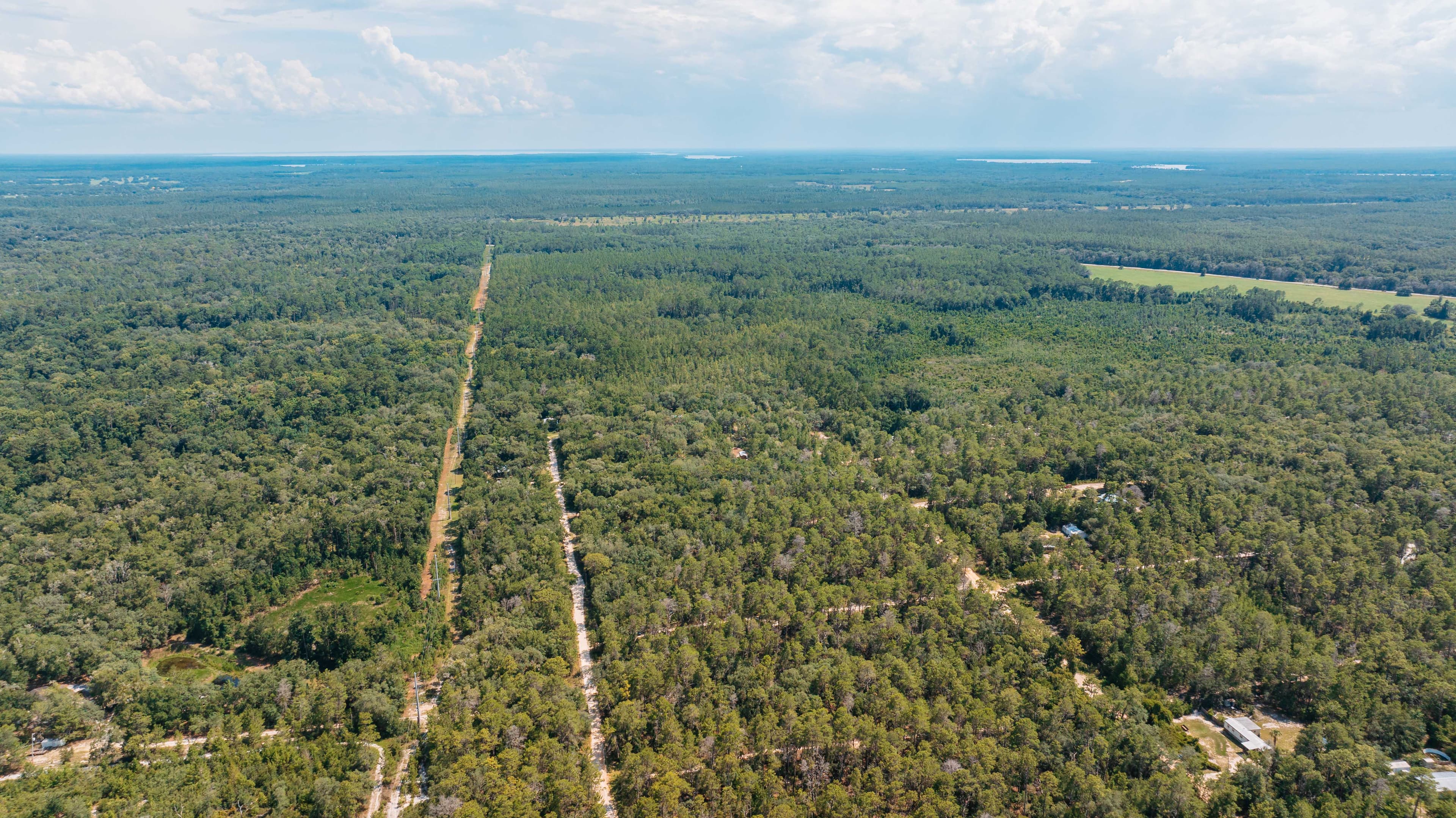 0.23 Acre Build-Ready Lot in Satsuma, Putnam County — property view 15