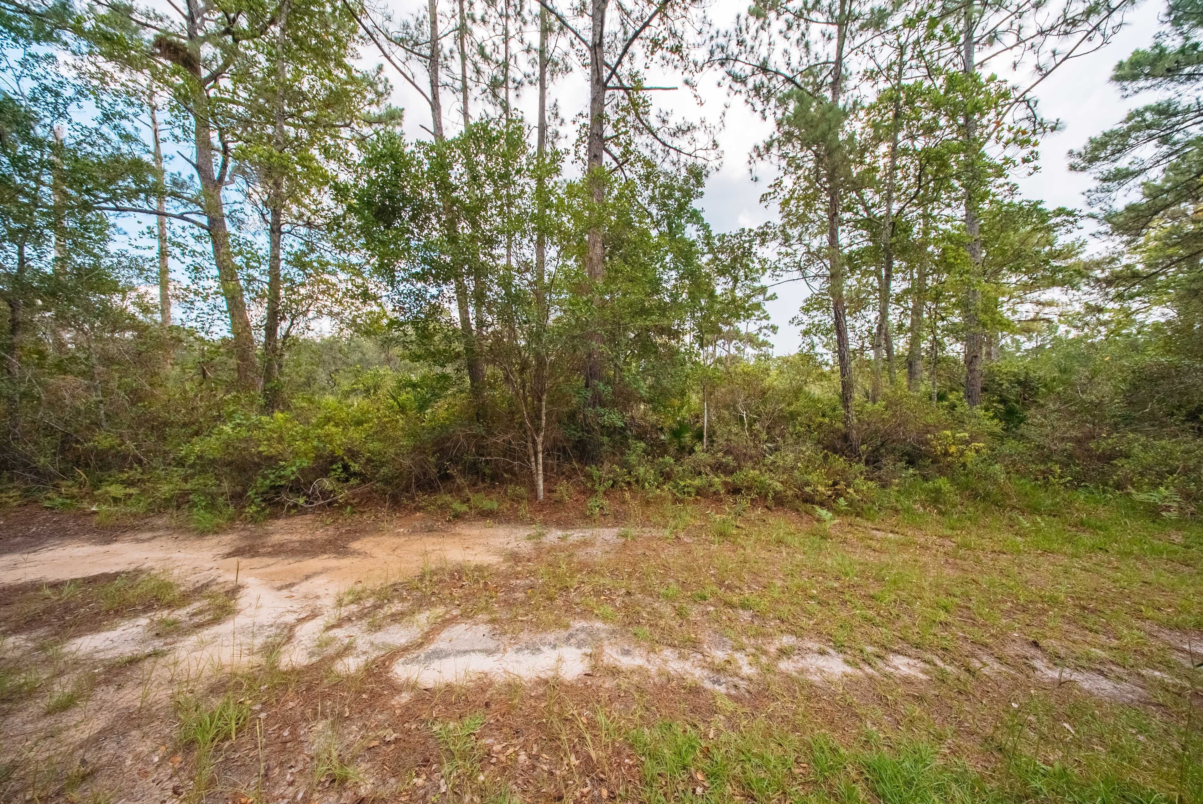 0.23 Acre Build-Ready Lot in St. Johns Riverside Estates — property view 9