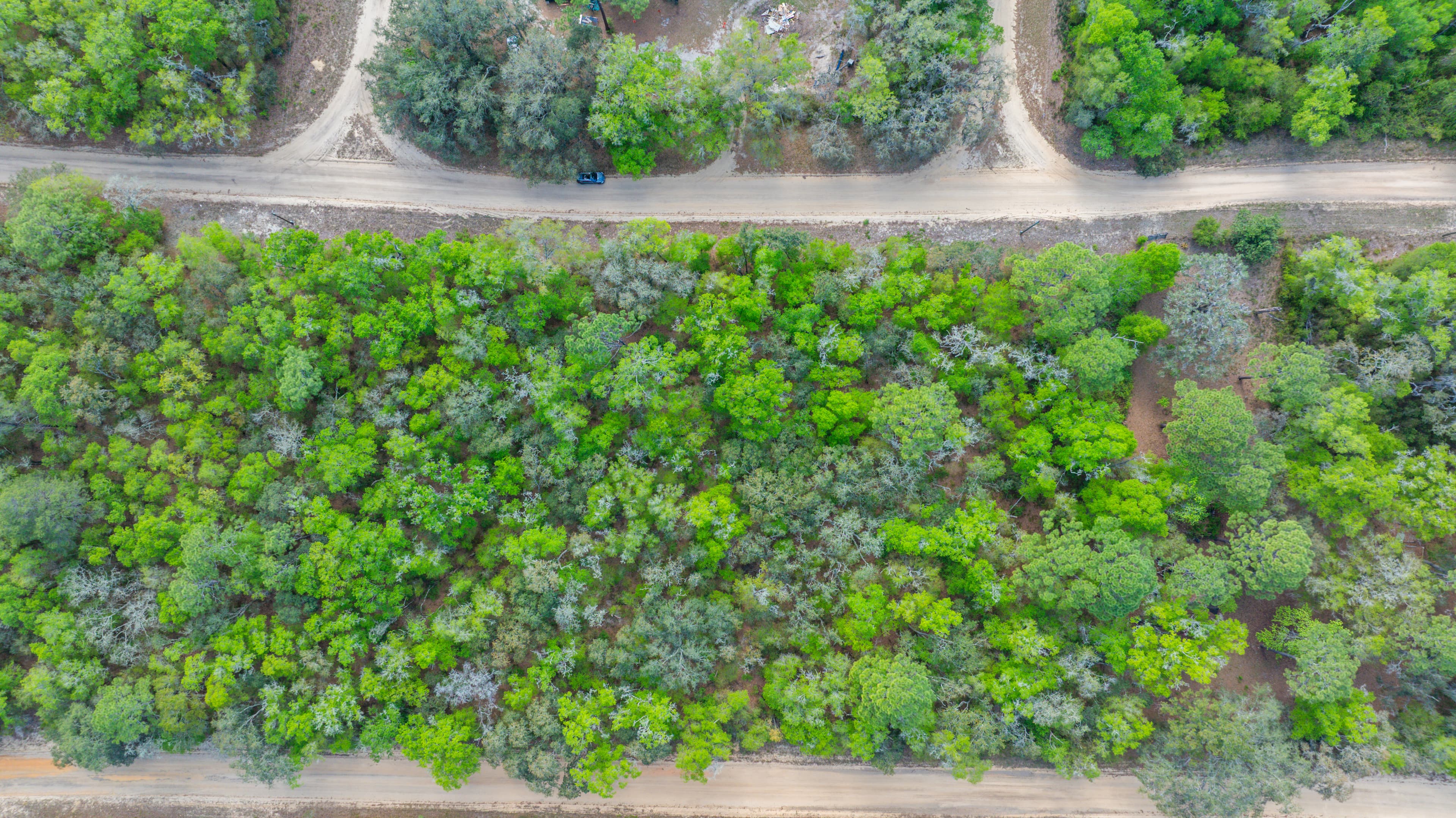 The Gloria Avenue Retreat: 0.22 High & Dry Acres in Hawthorne — property view 9
