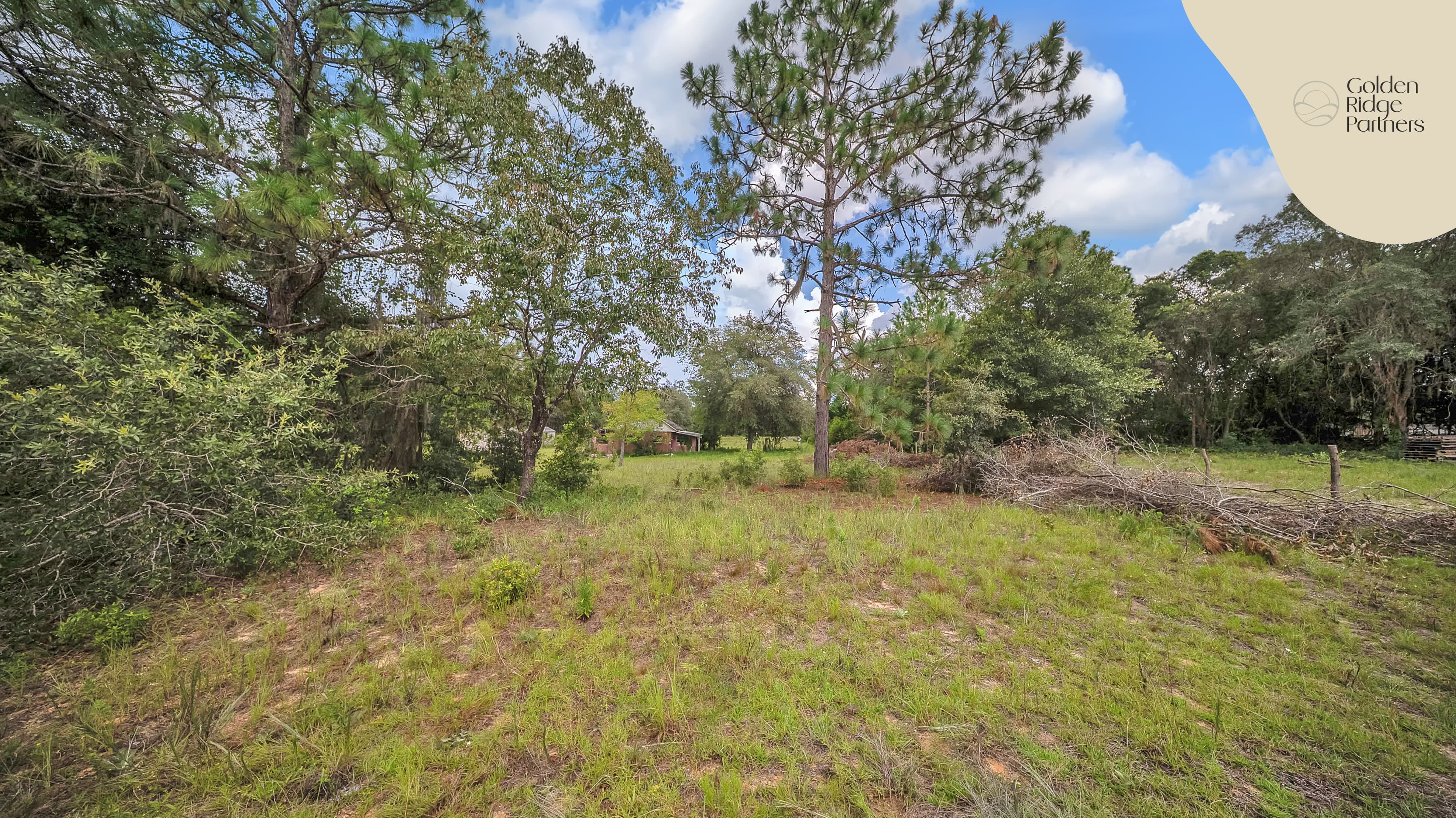 Your Dream Starts Here  — property view 10