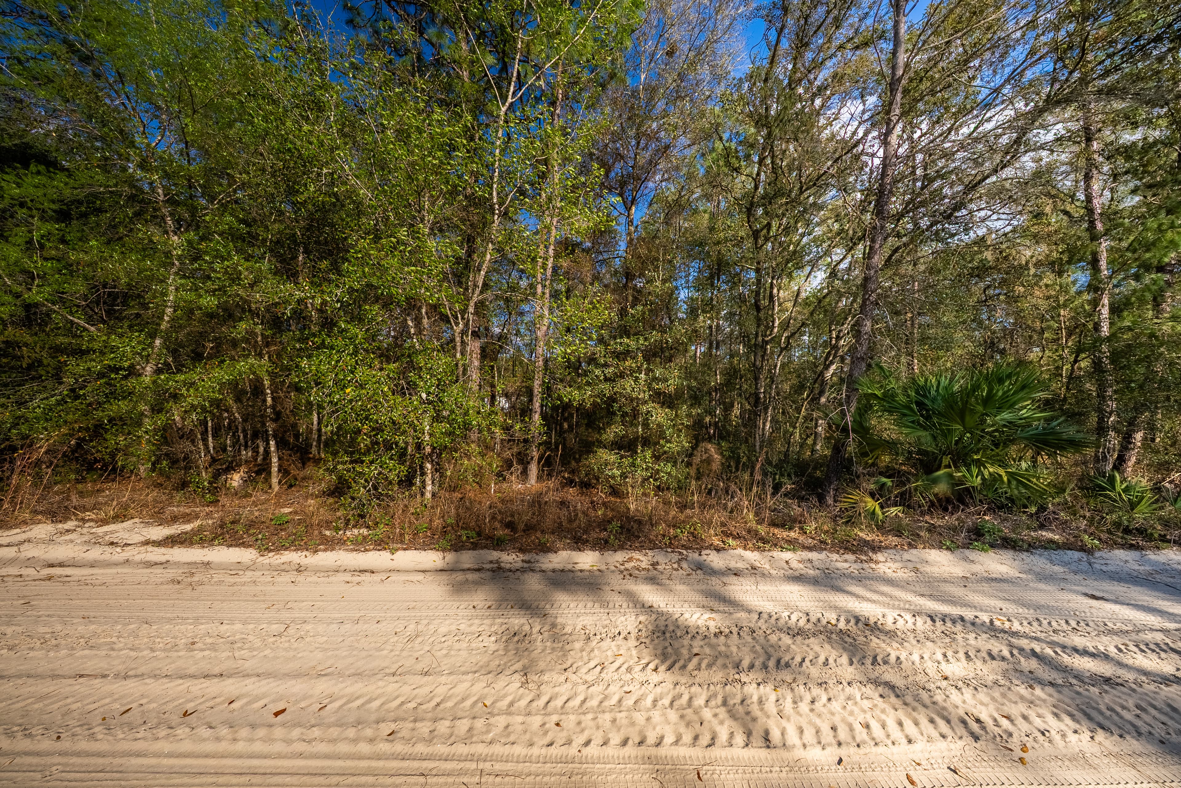 Quail Hollow Hideaway: 0.23 Acres in Florida's Riverside Frontier — property view 11