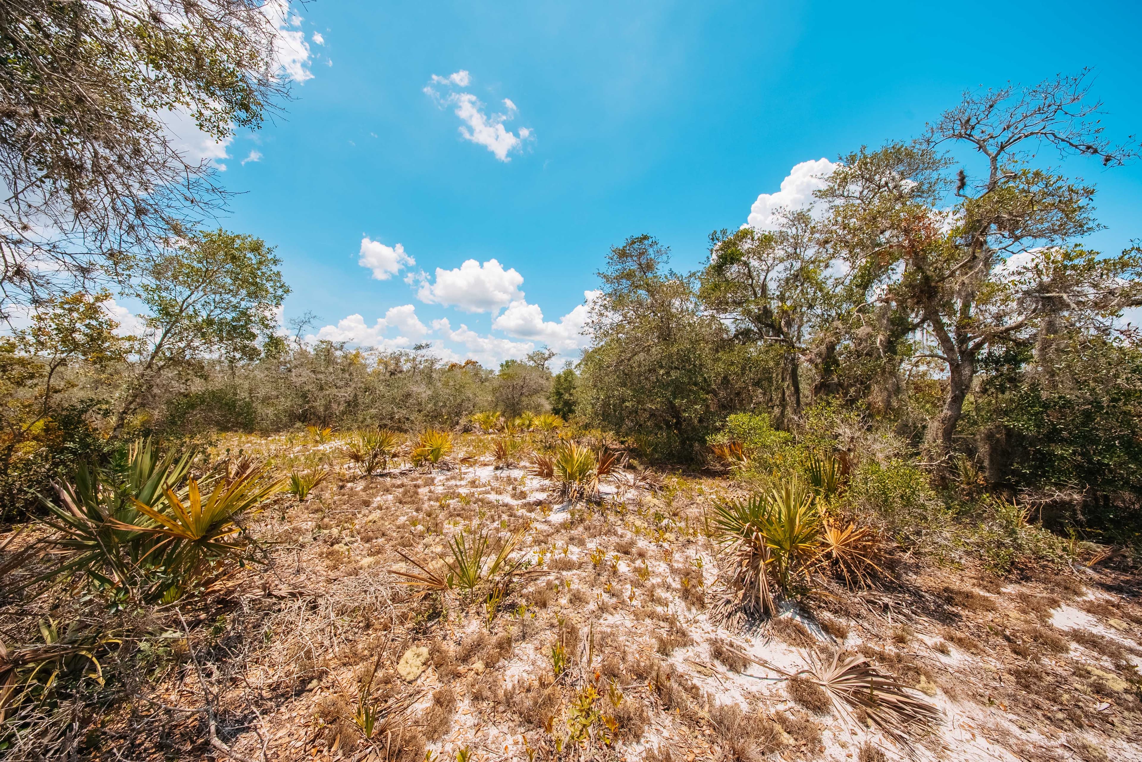 0.24 Acre Build-Ready Lot in Sun N Lakes — property view 14