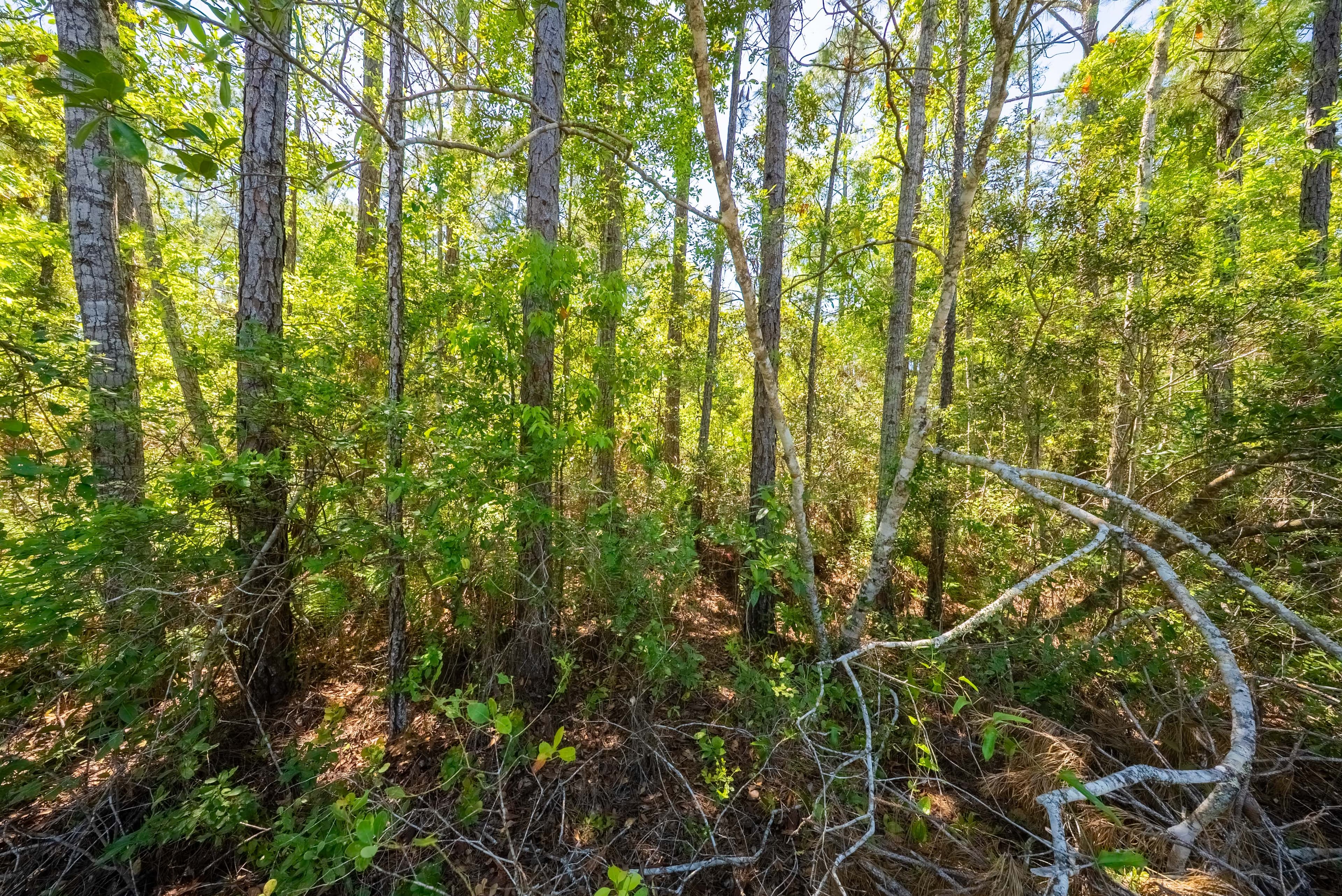 Property View 8