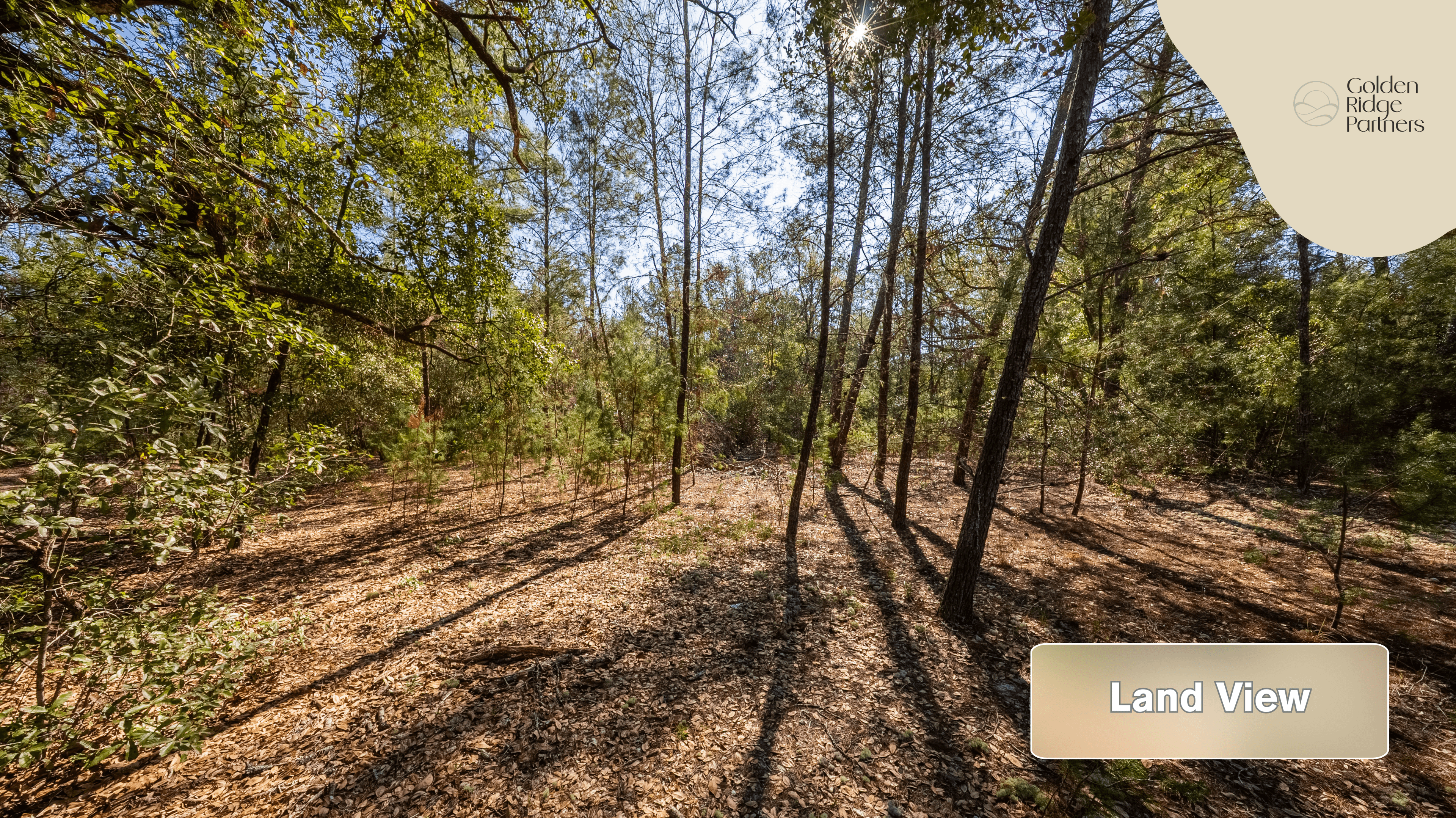 Your Private Escape in Interlachen Lakes