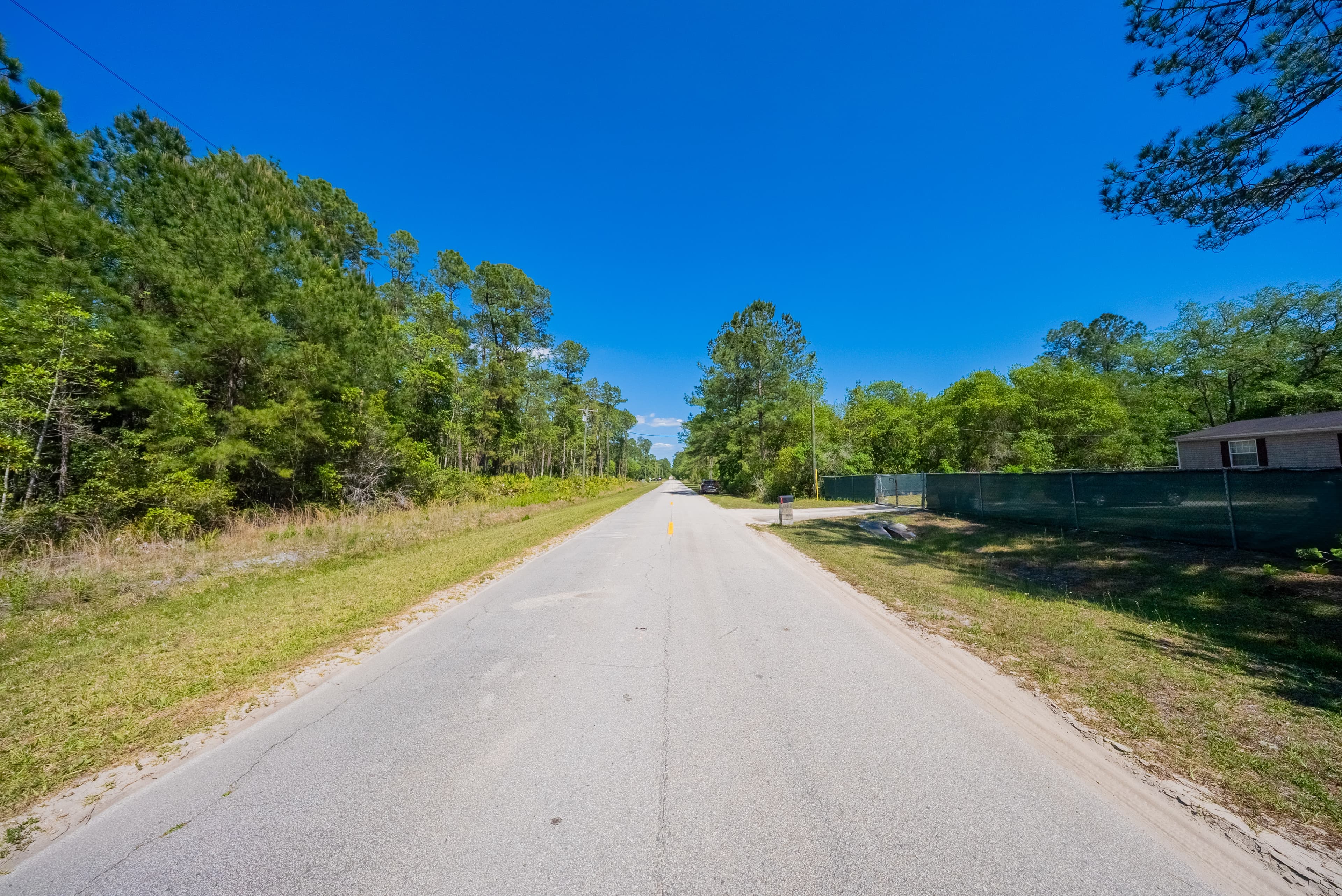 The Hickory Nut Haven: 0.24 Acres of Wooded Freedom in Wild Florida — property view 10