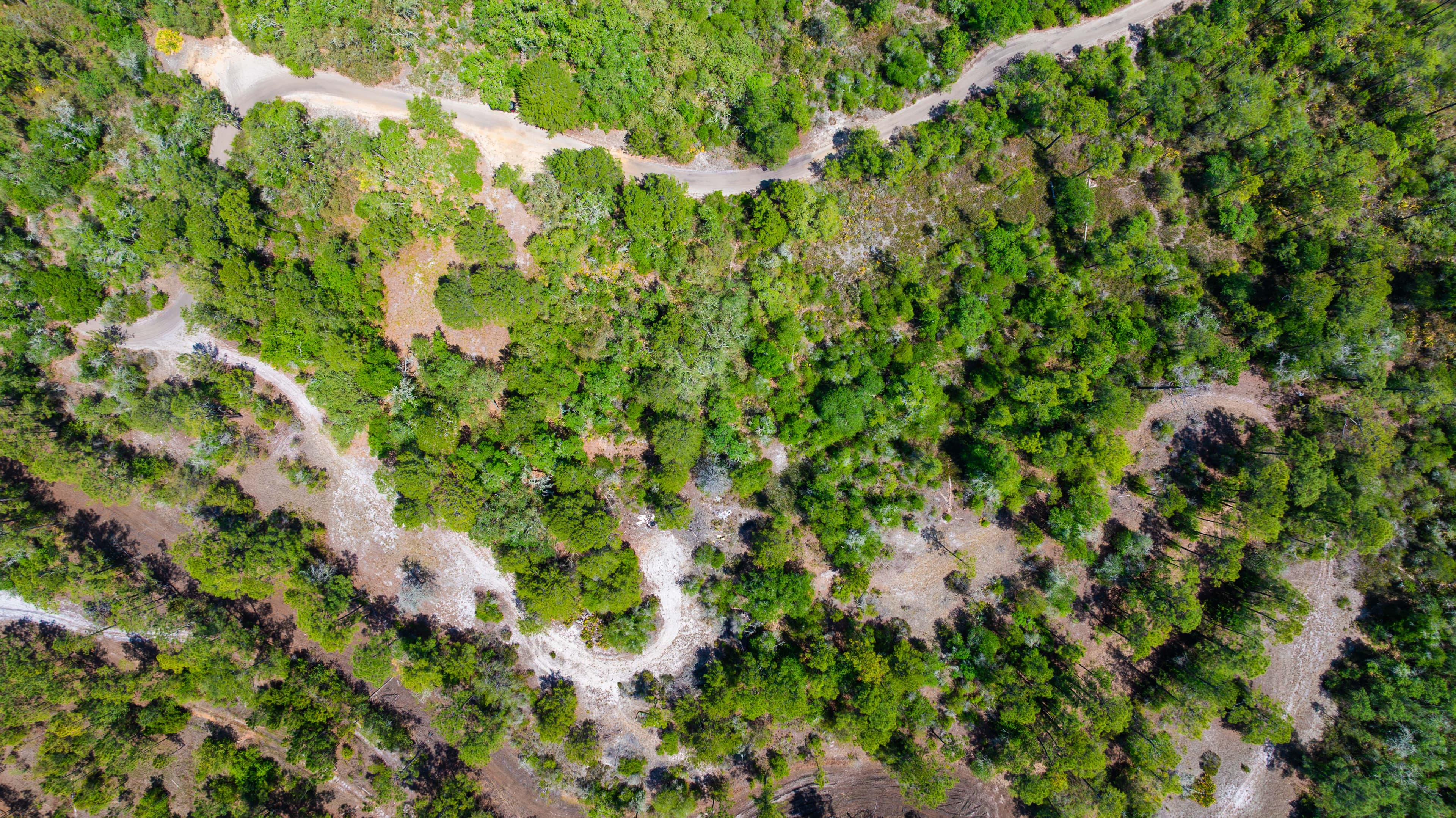 0.16 acre residential zoned land for sale in Highlands County, FL — photo 4