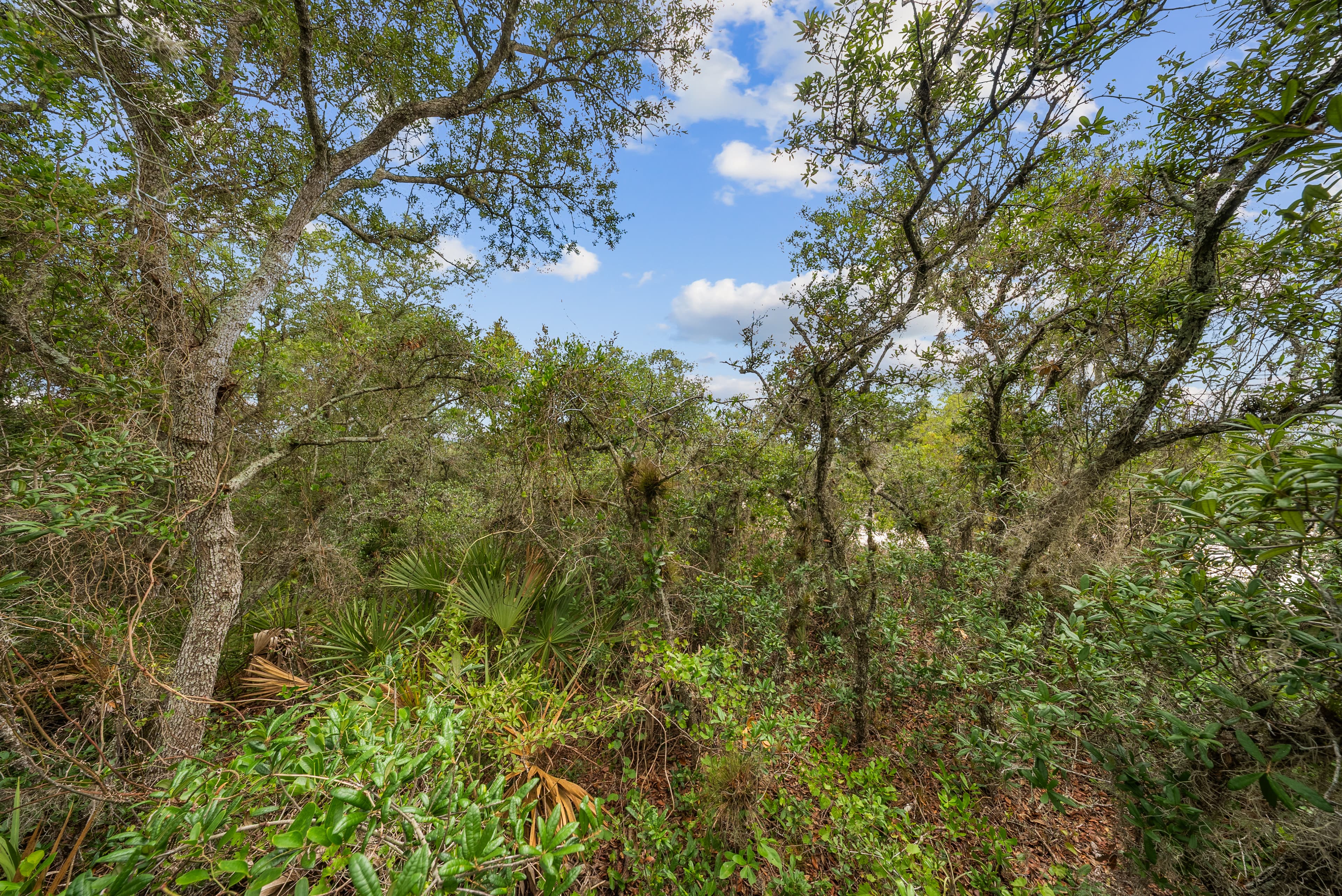 0.23 Acre Residential Lot in Sun N Lakes,  Lake Placid — property view 6