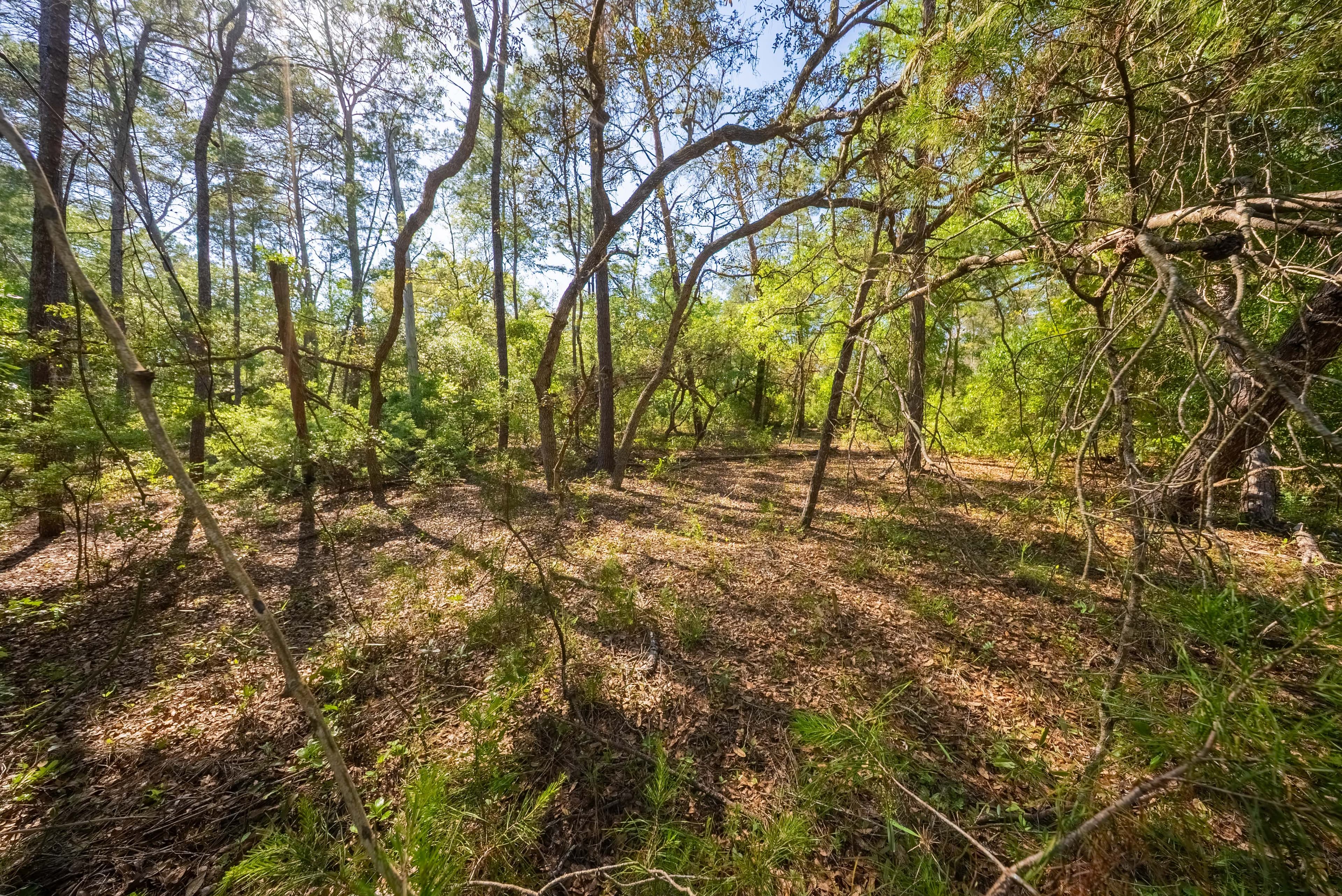 Your 0.23 Corner Lot Opportunity in St. Johns Riverside Estates — property view 13