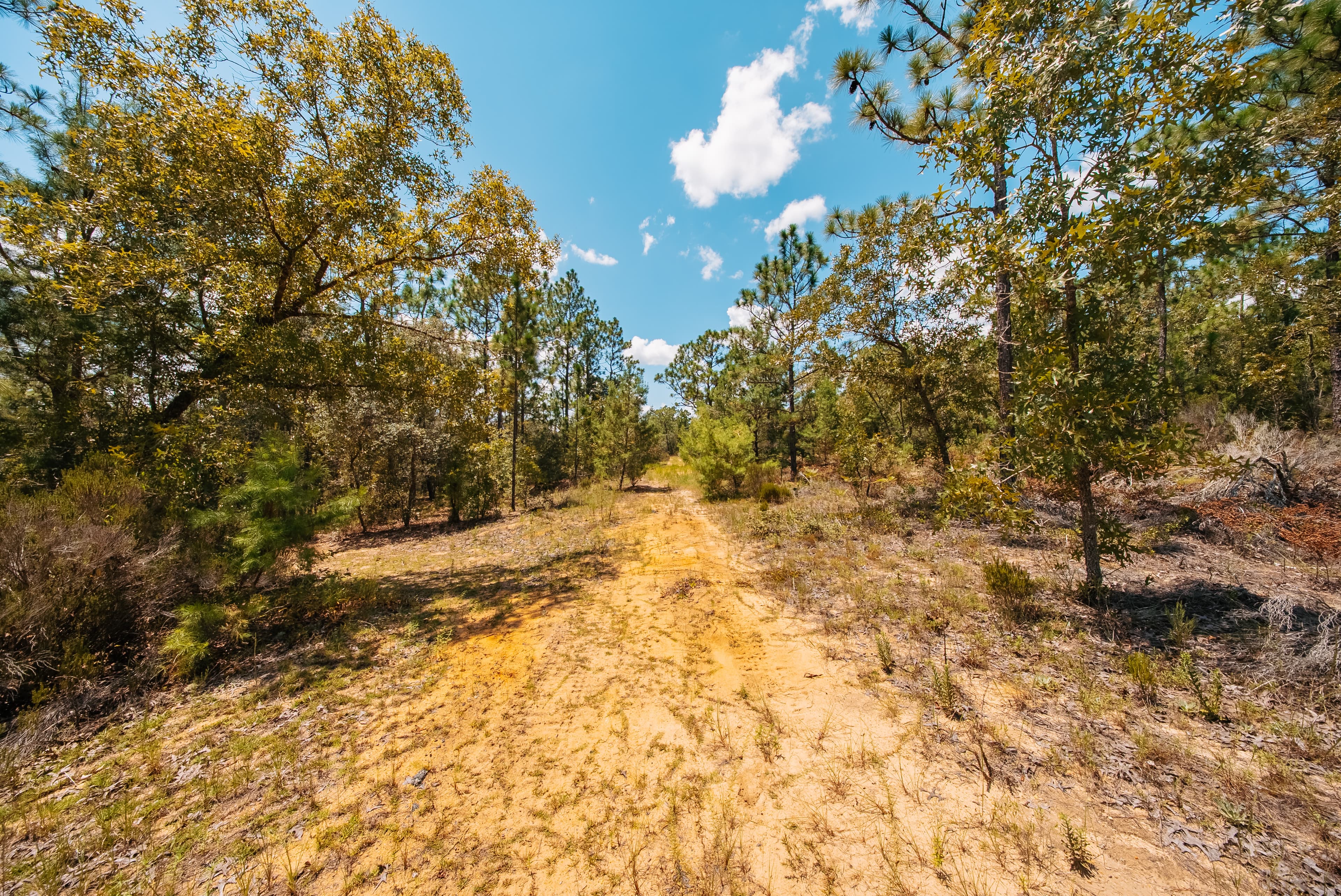 1.03 Acre Premium Estate Lot in Mariners Lake Heights, Interlachen — property view 14