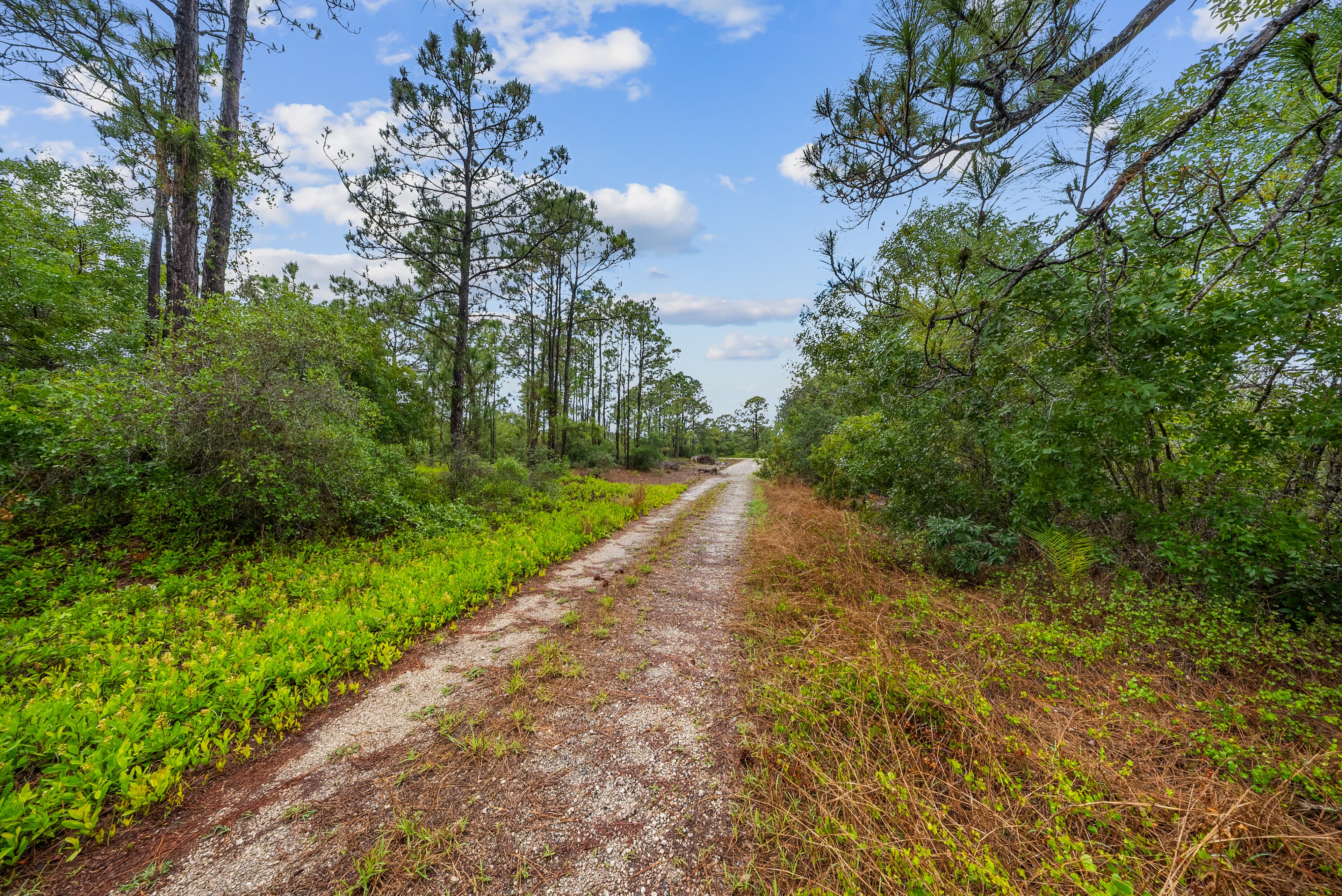 The Hollow Lane Haven: 0.23 Acres of Site-Built Exclusivity — property view 8