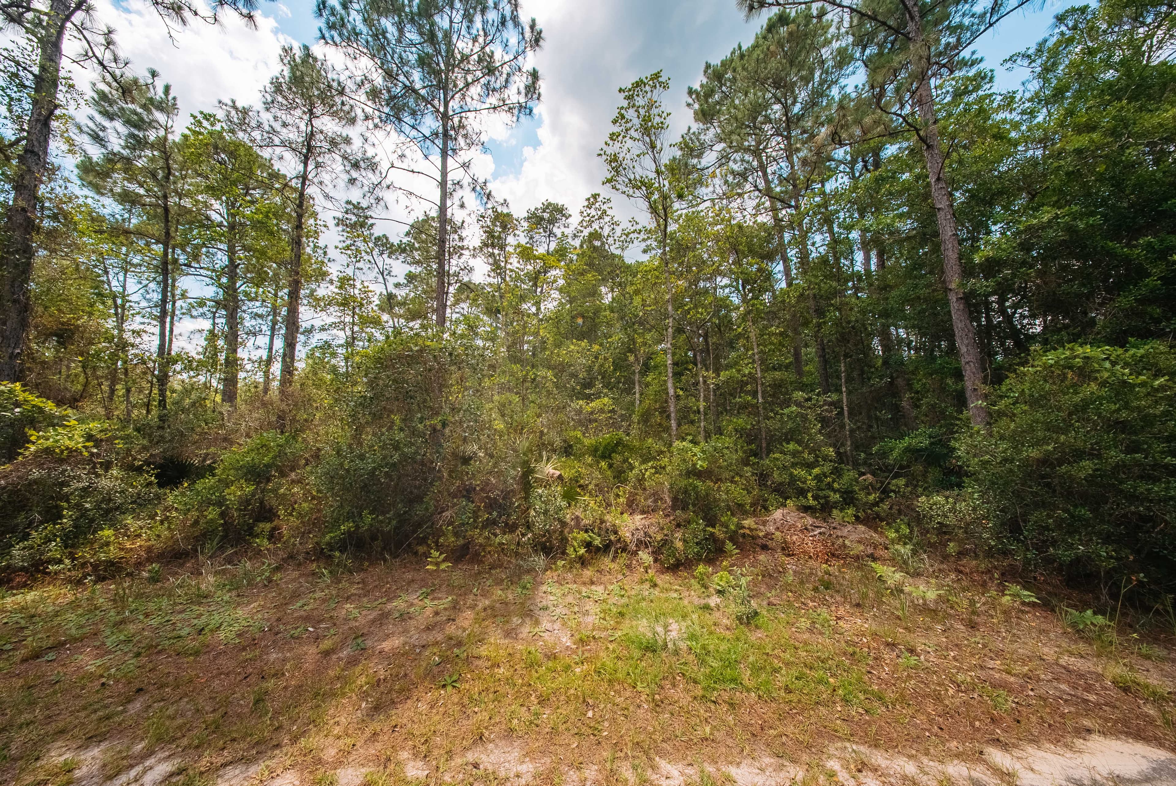 0.23 Acre Build-Ready Lot in St. Johns Riverside Estates — property view 6