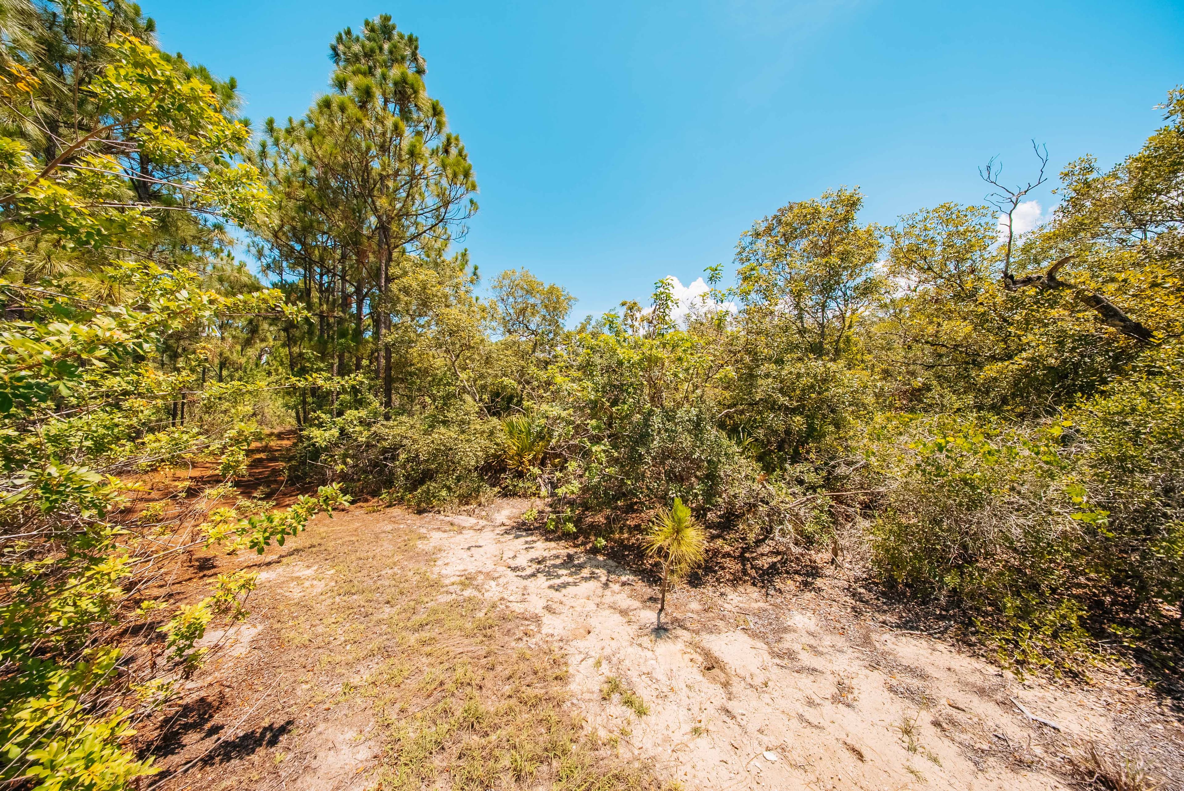 0.235 Acre Build-Ready Lot in Sun N Lakes, Lake Placid — property view 10