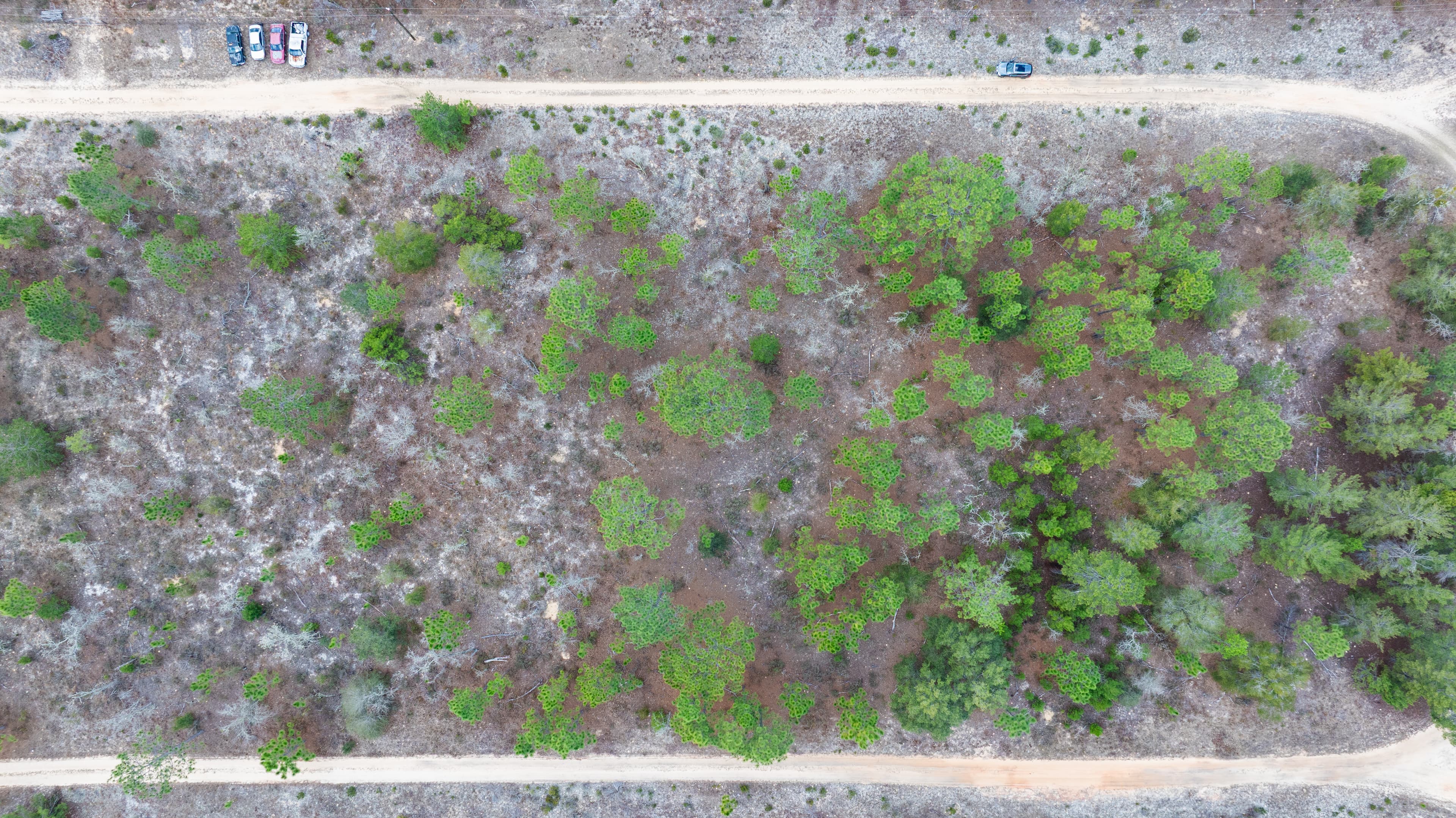 Your Massive Florida Double-Lot Escape — property view 8