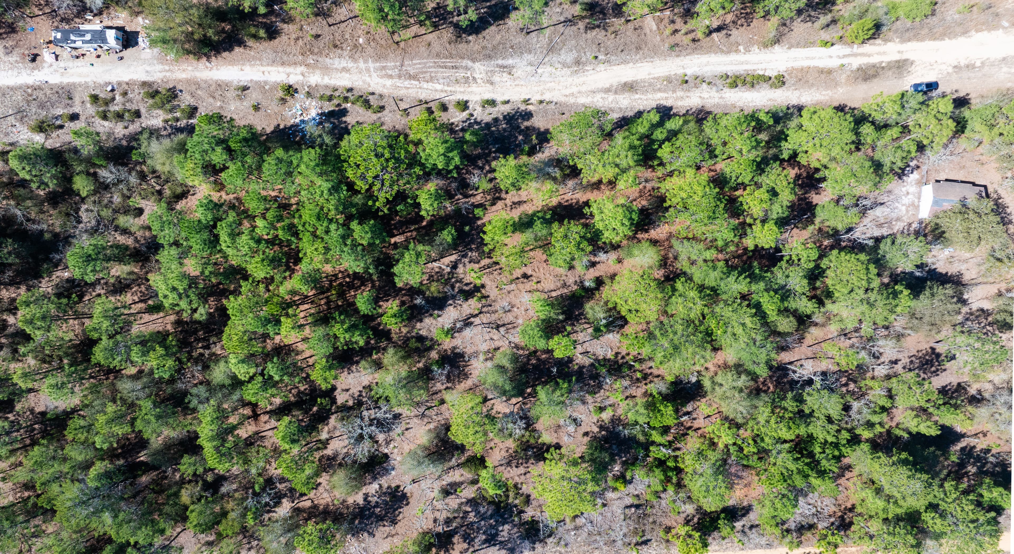 1.22 acre residential zoned land for sale in Putnam County, FL — photo 4