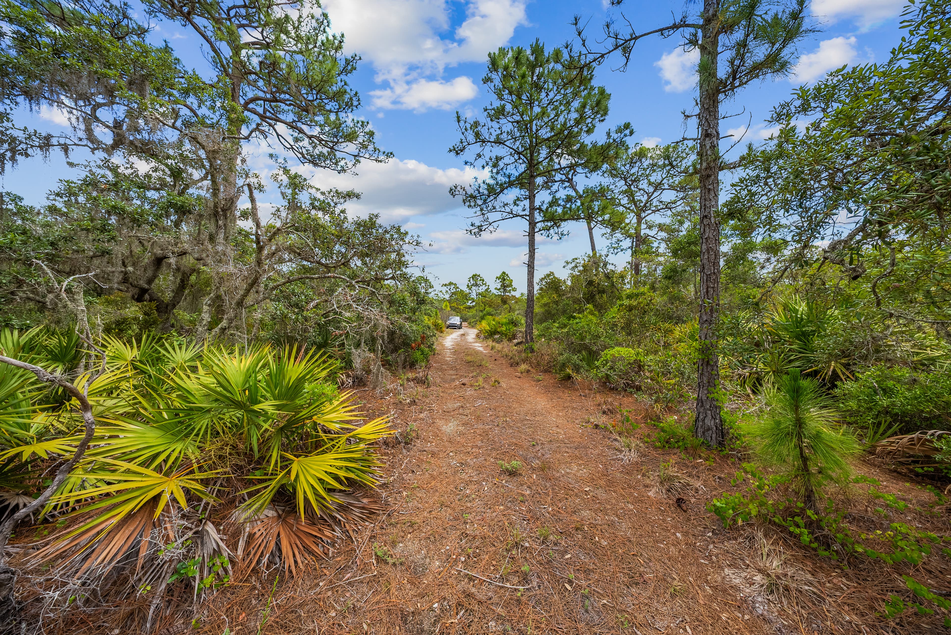 Anchor Your Dreams on Showboat Ave: 0.23 Acres of Wooded Serenity — property view 6