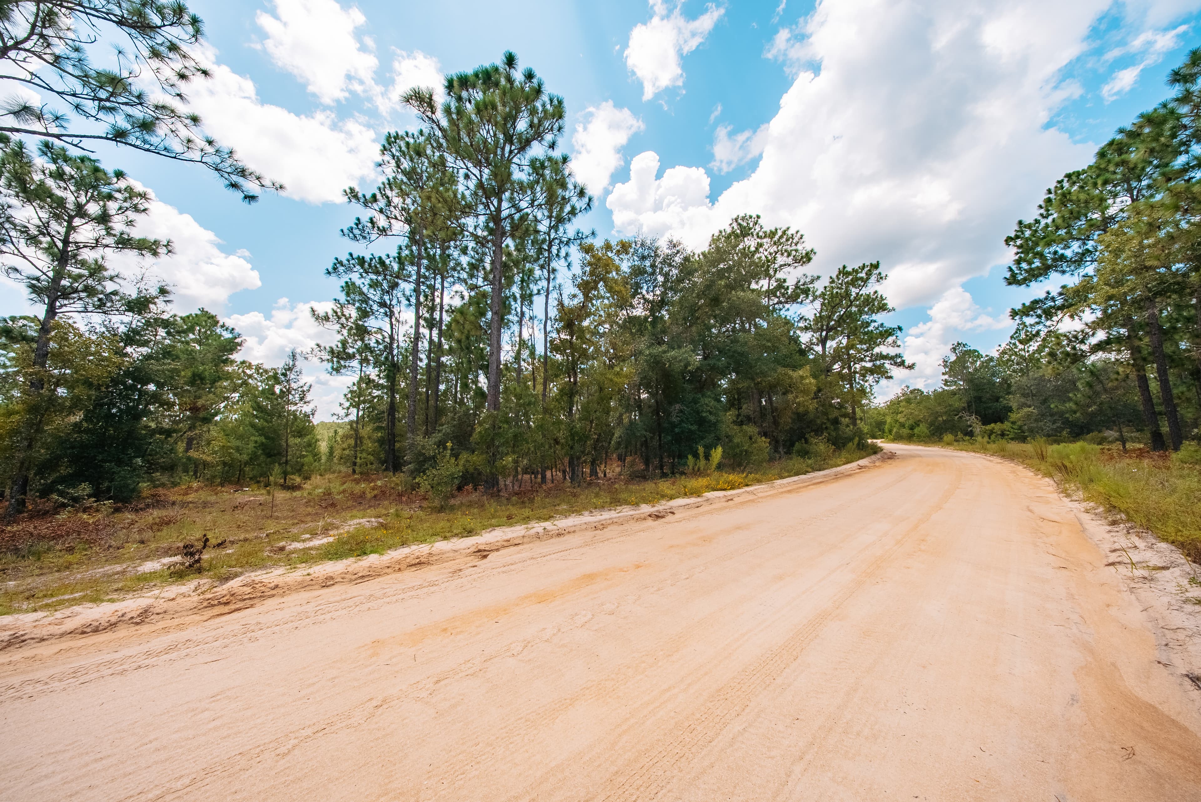 0.90 Acre Premium Lot in Mariners Lake Heights, Interlachen — property view 7