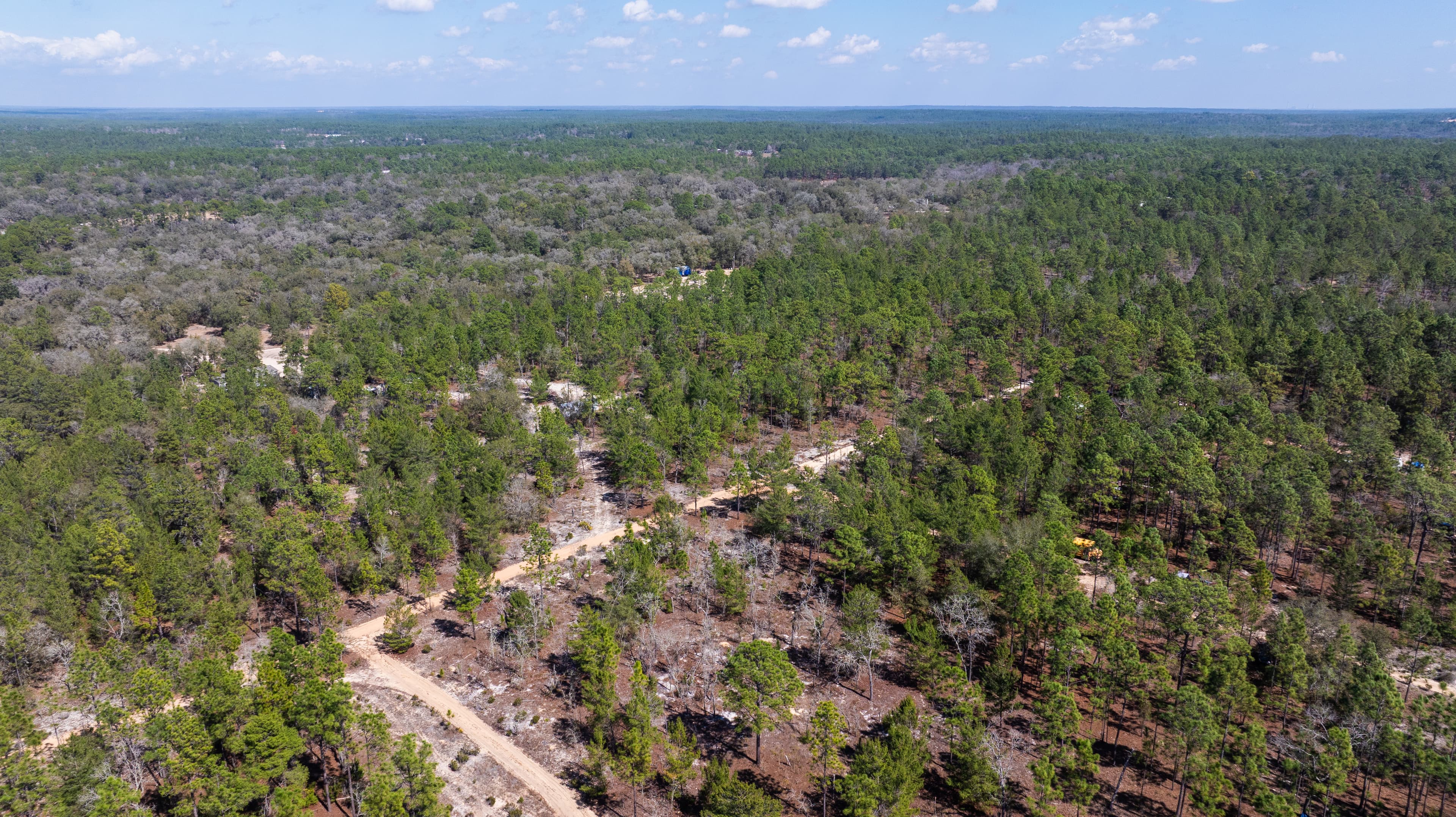 The High-Ground Corner: 0.37 Deeded Acres in Wild Florida — property view 6