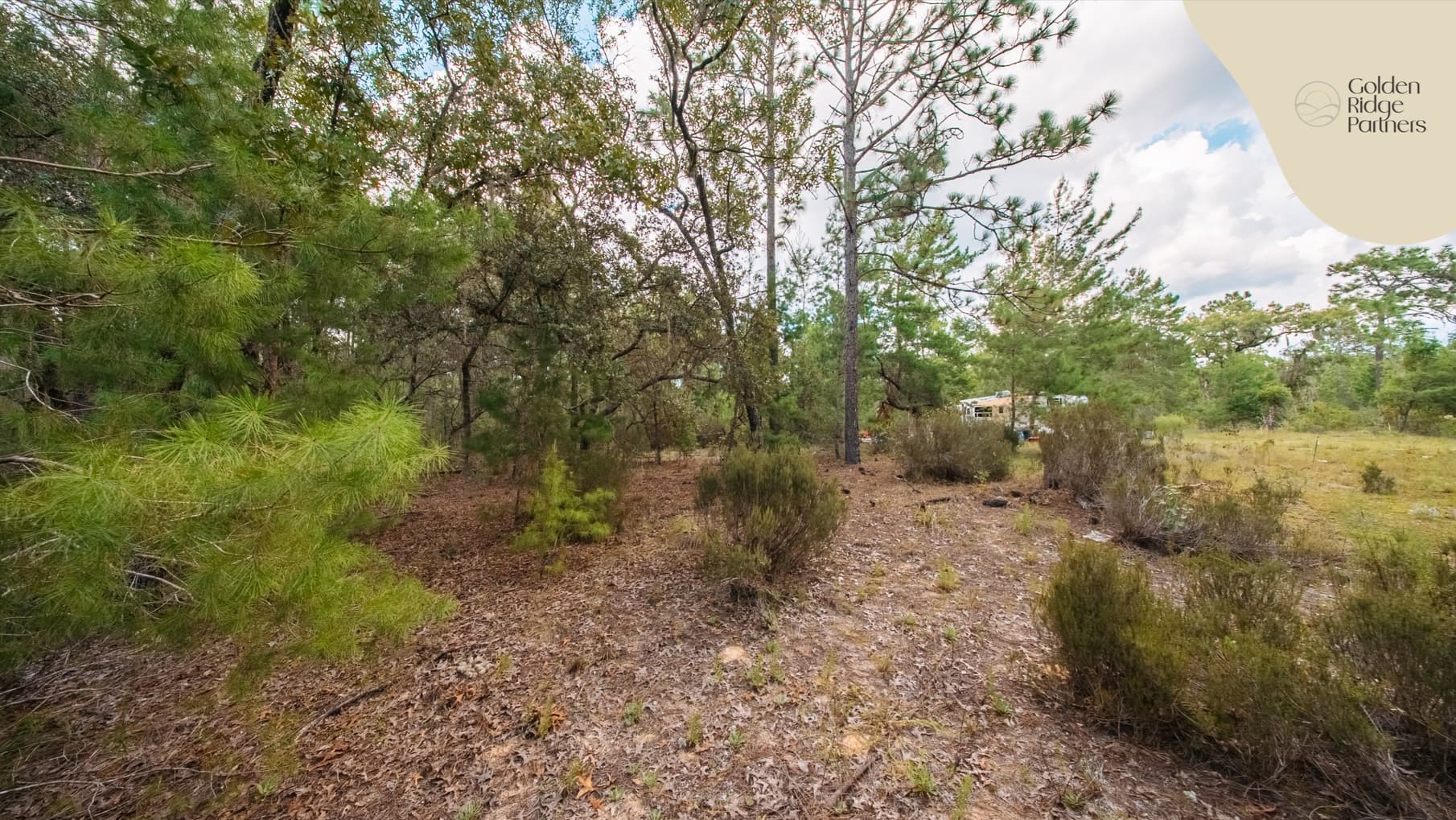 0.23 acre residential zoned land for sale in Putnam County, FL — photo 3