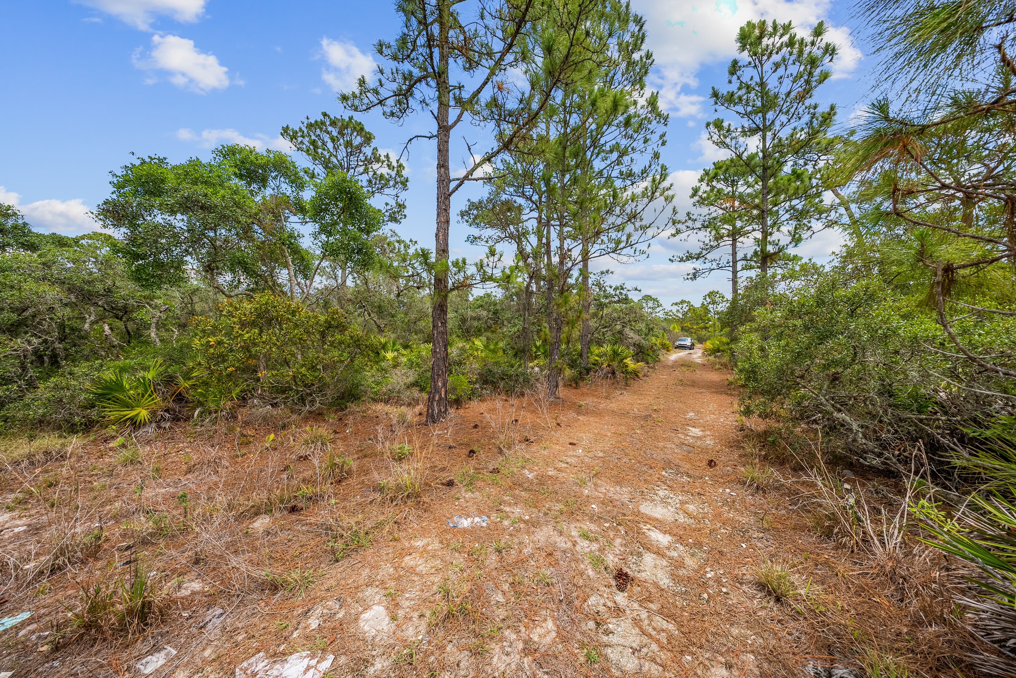 Anchor Your Dreams on Showboat Ave: 0.23 Acres of Wooded Serenity — property view 9