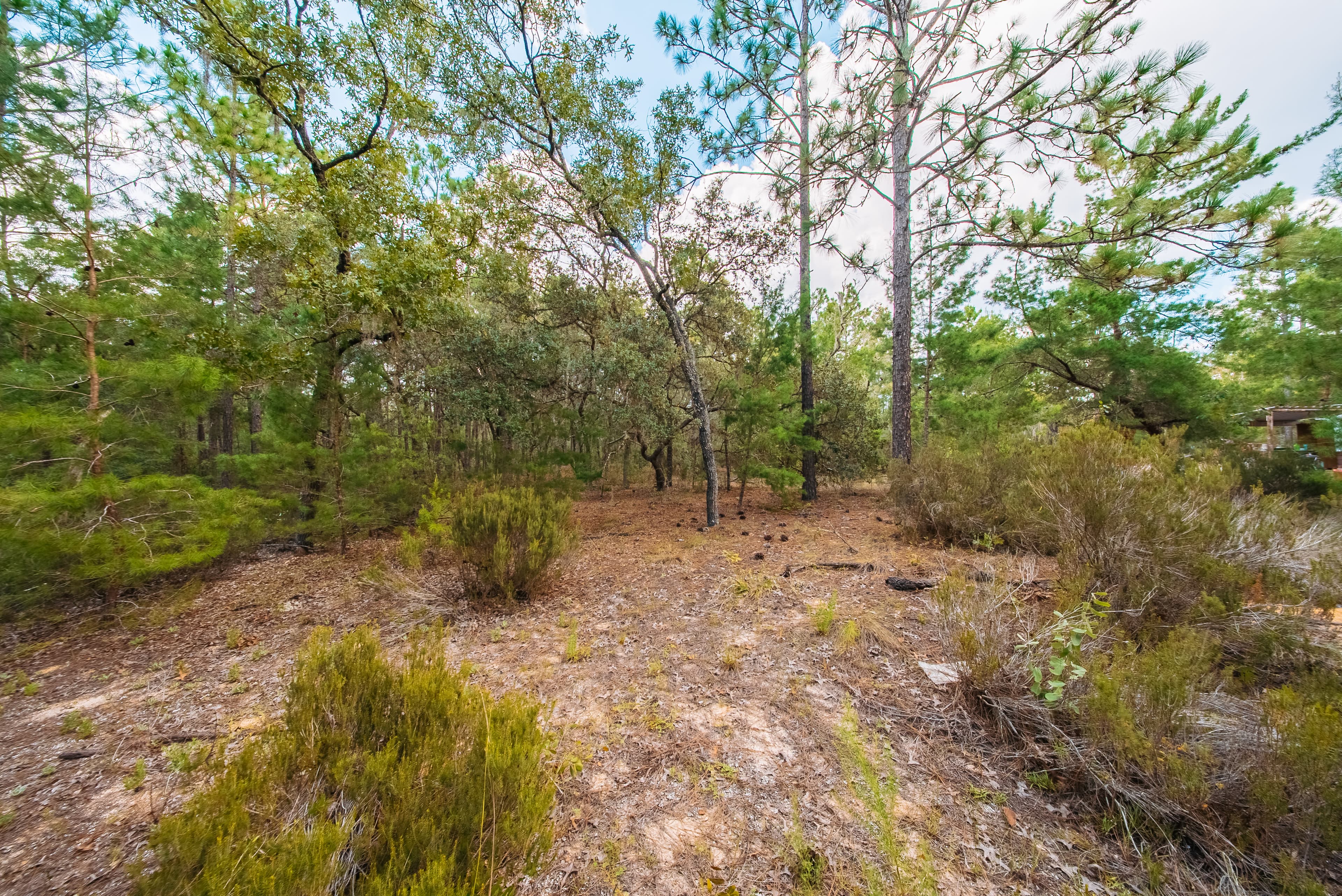  0.23 Acre Build-Ready Lot in Interlachen Lakes Estates — property view 13